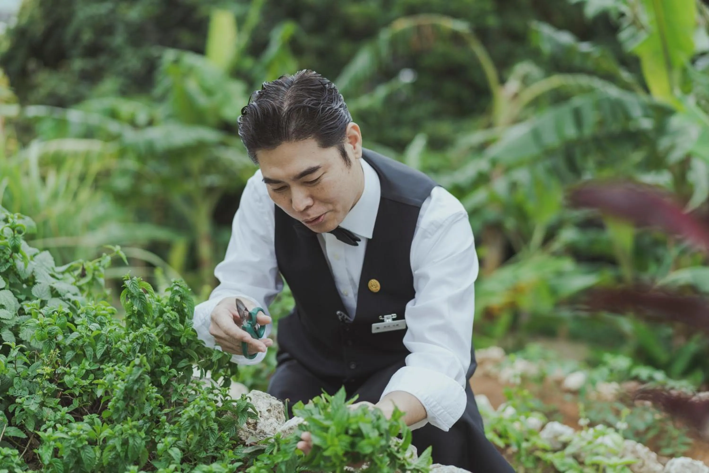 Day in EM Wellness Kurashinohakko Lifestyle Resort