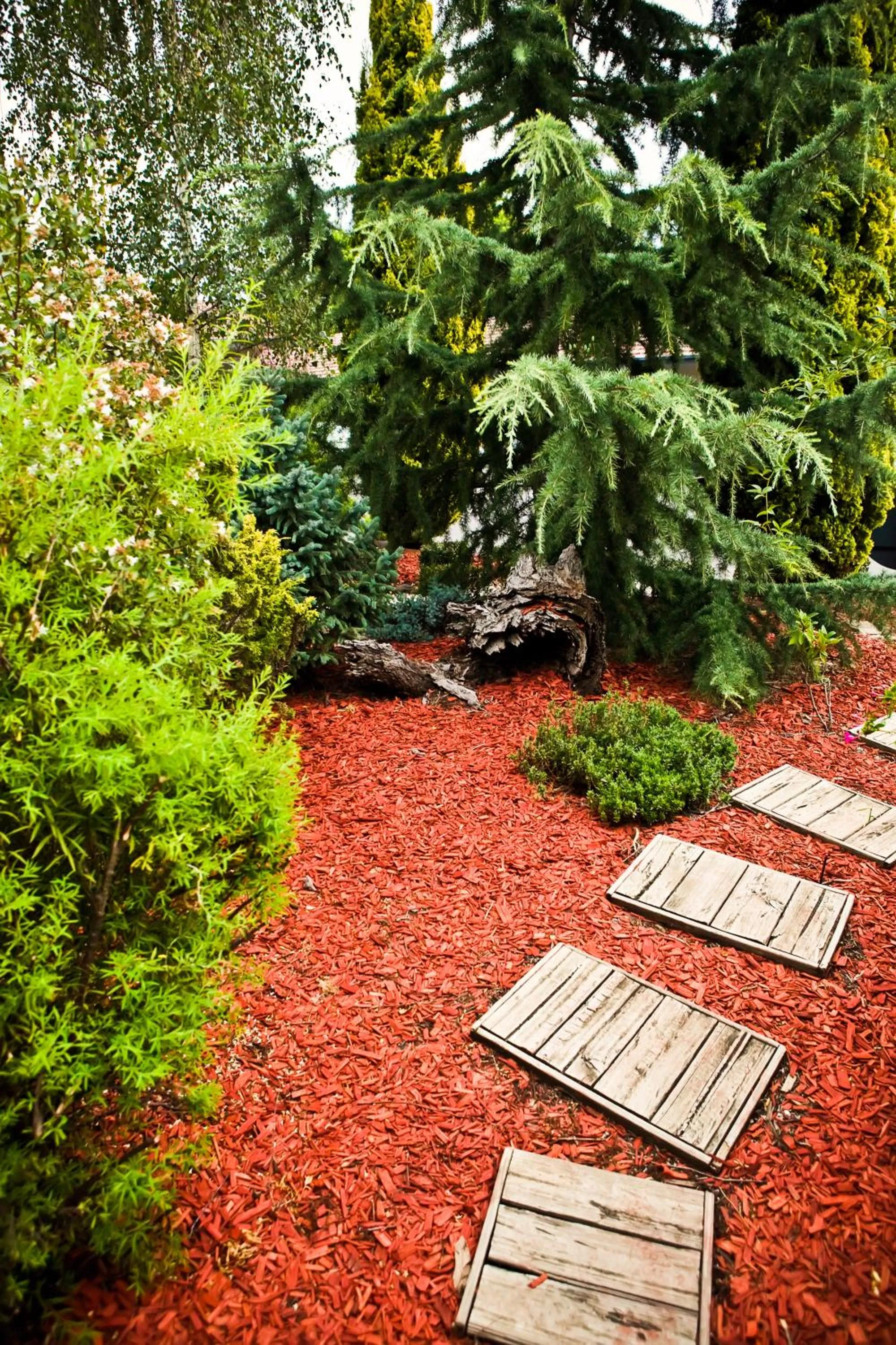 Garden in Abbotsleigh Motor Inn