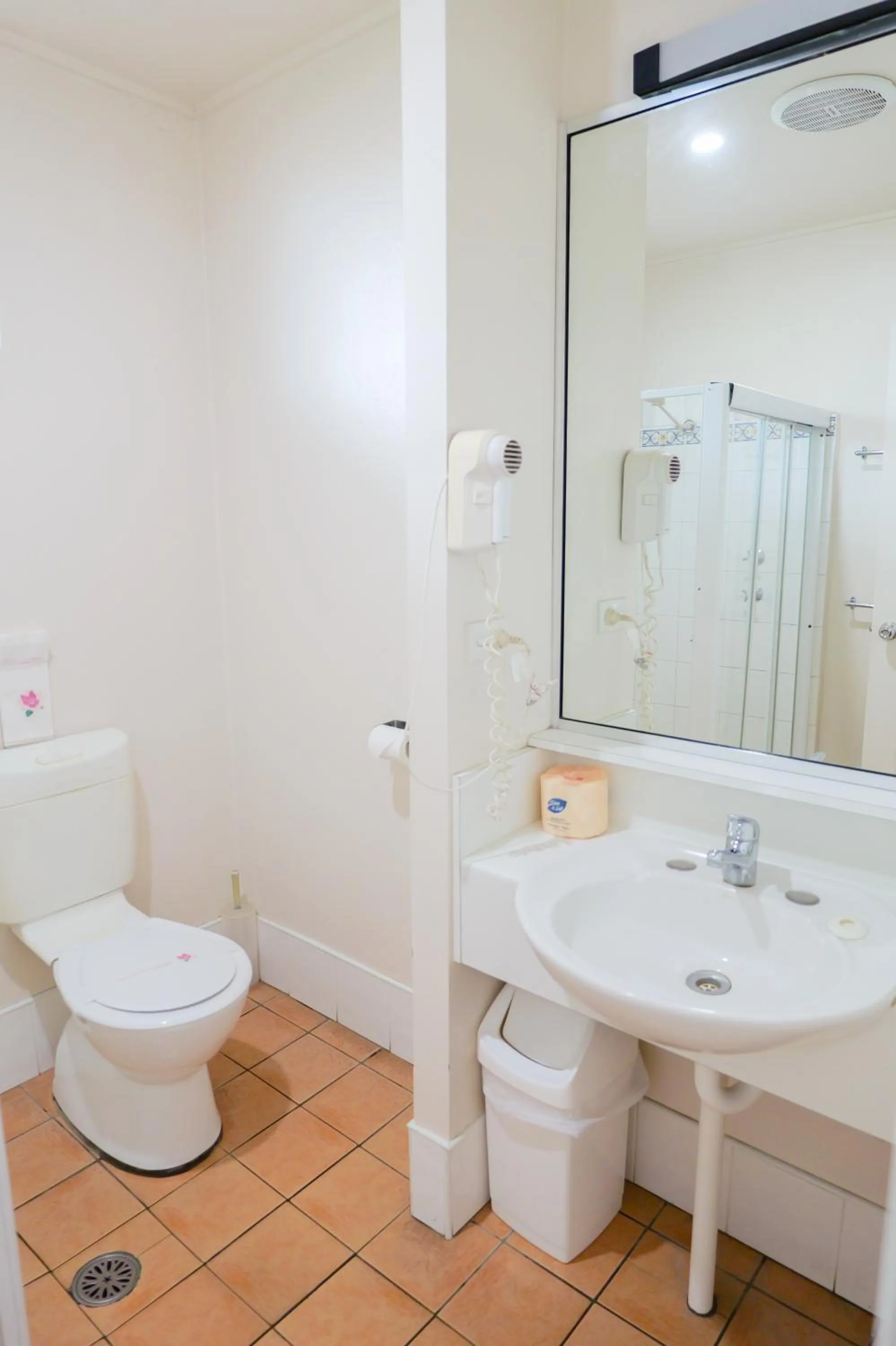 Bathroom in Abbotsleigh Motor Inn