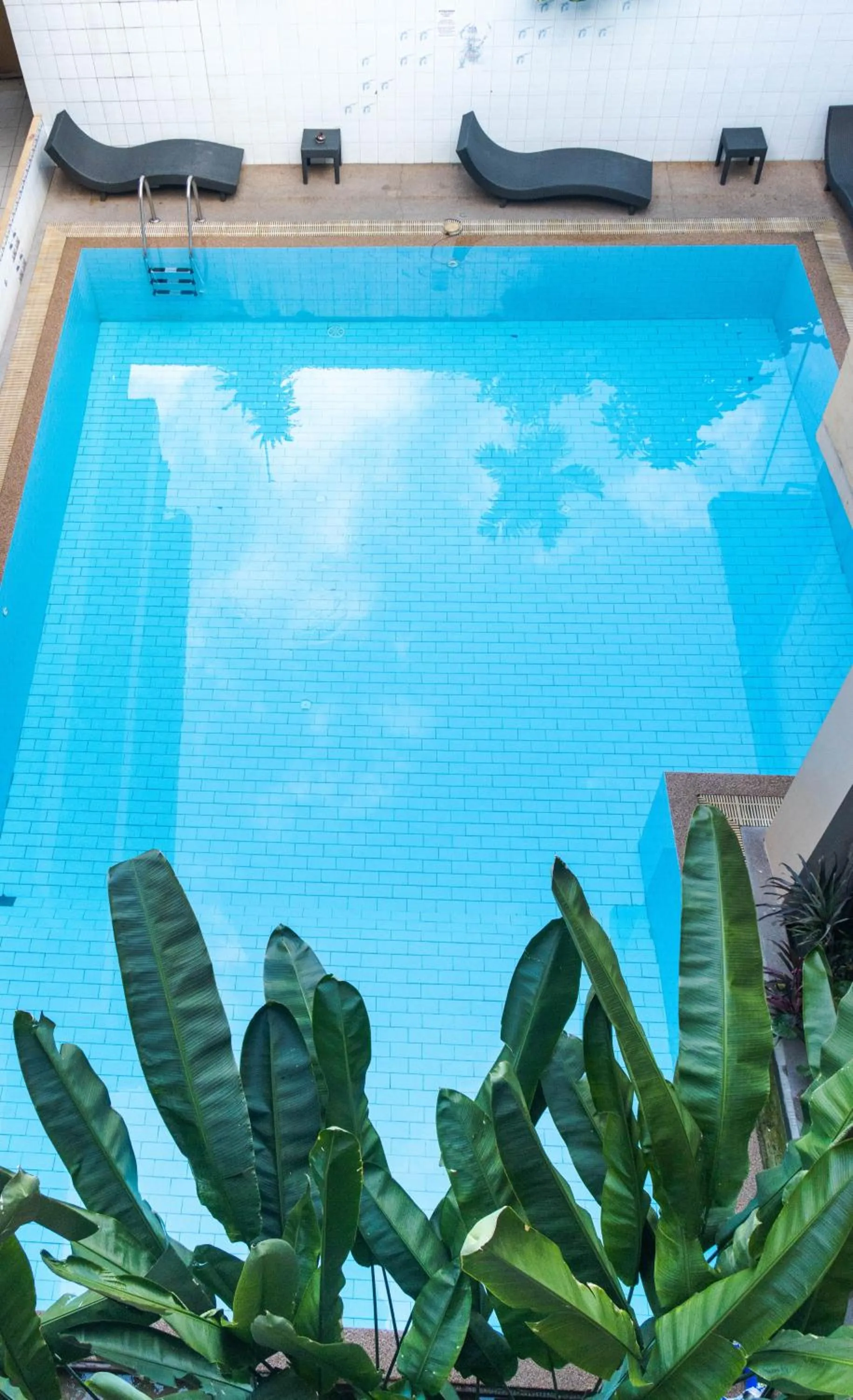 Swimming pool in S.K. House 1