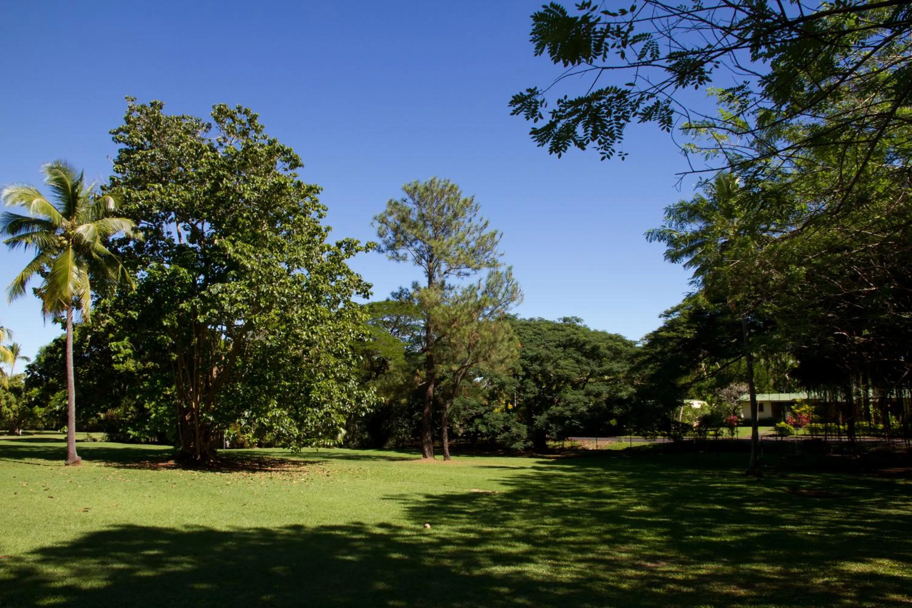 Garden view in Tanoa Skylodge Hotel