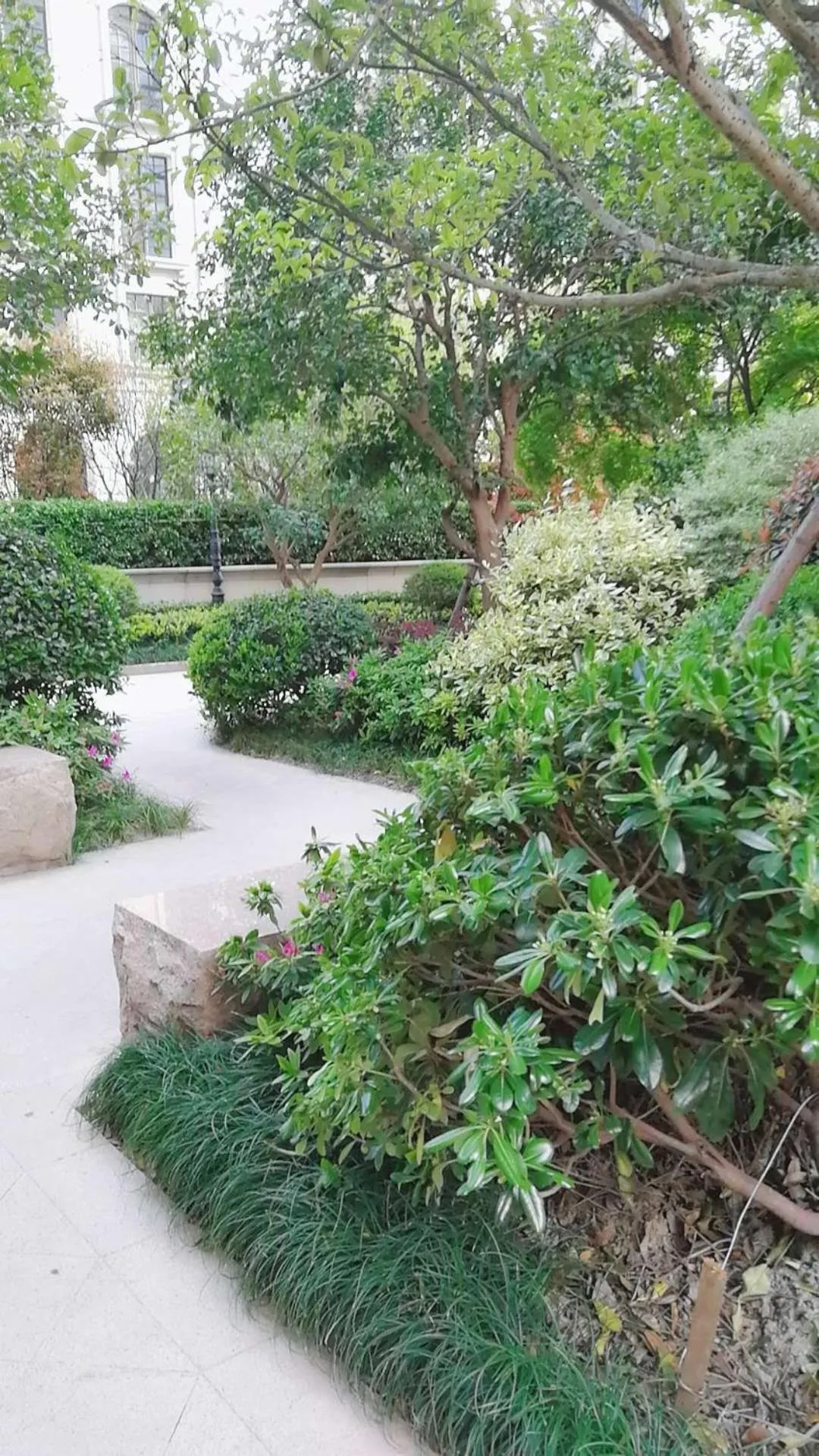 Property building in Lujiazui More Residence