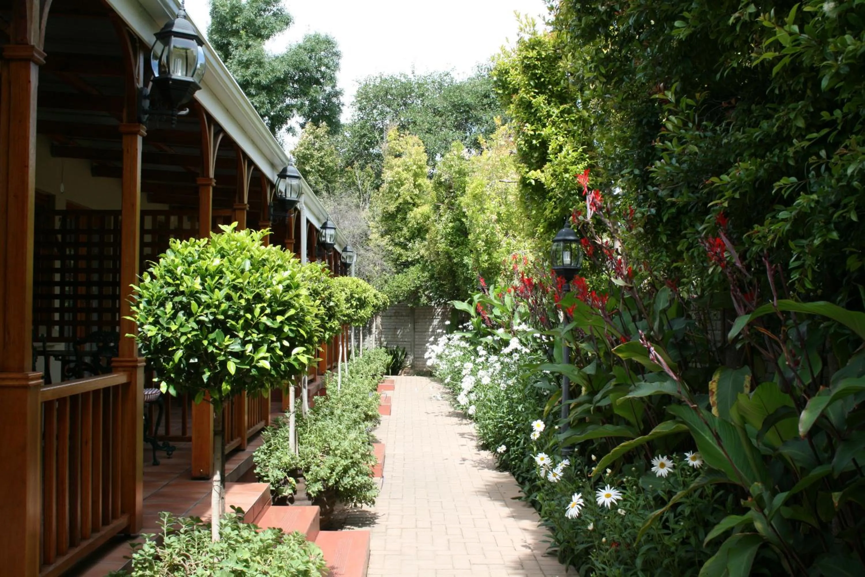 Garden in 88 Baron van Reede Guesthouse