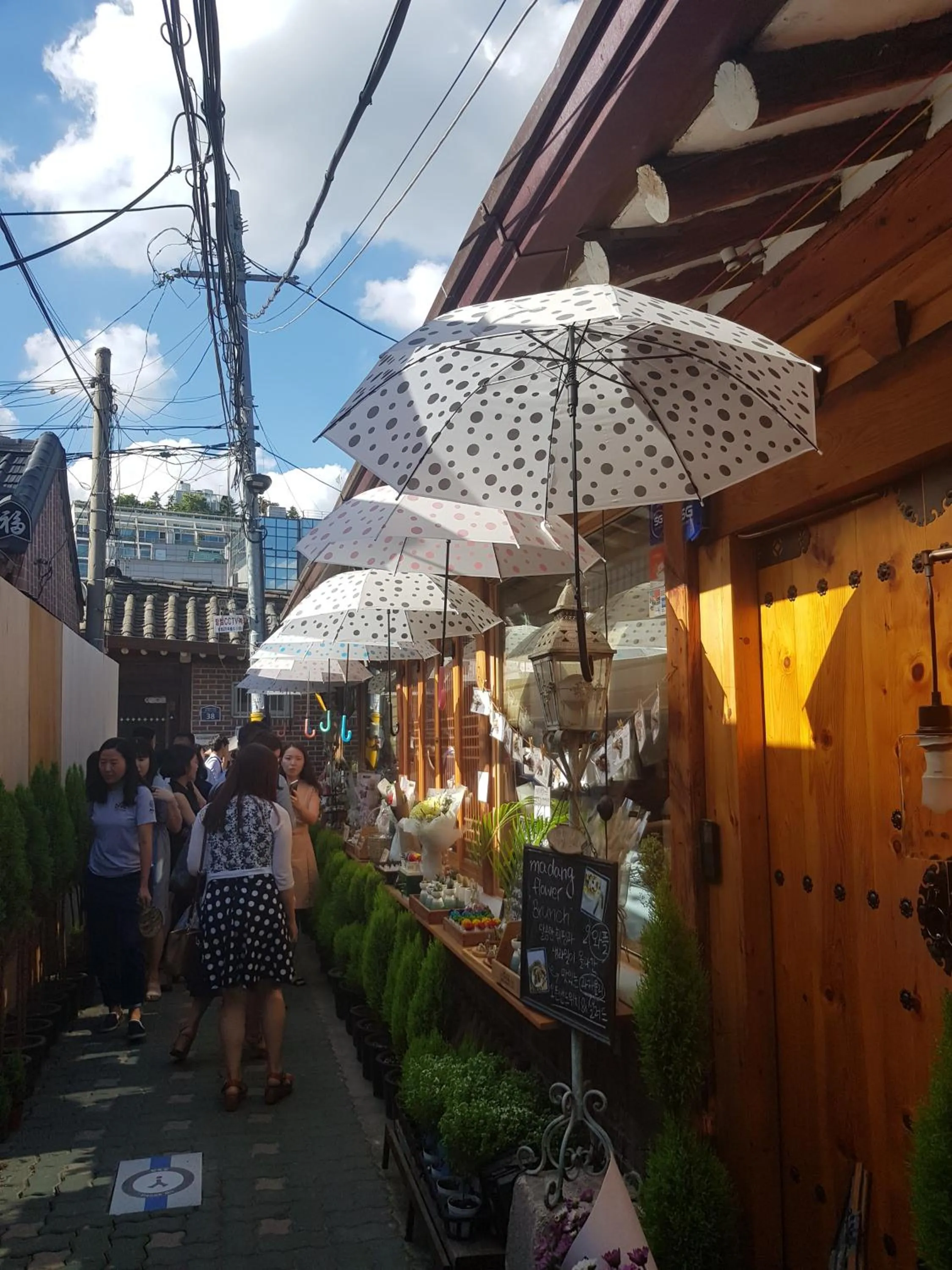 Activities in Artravel Myeongdong