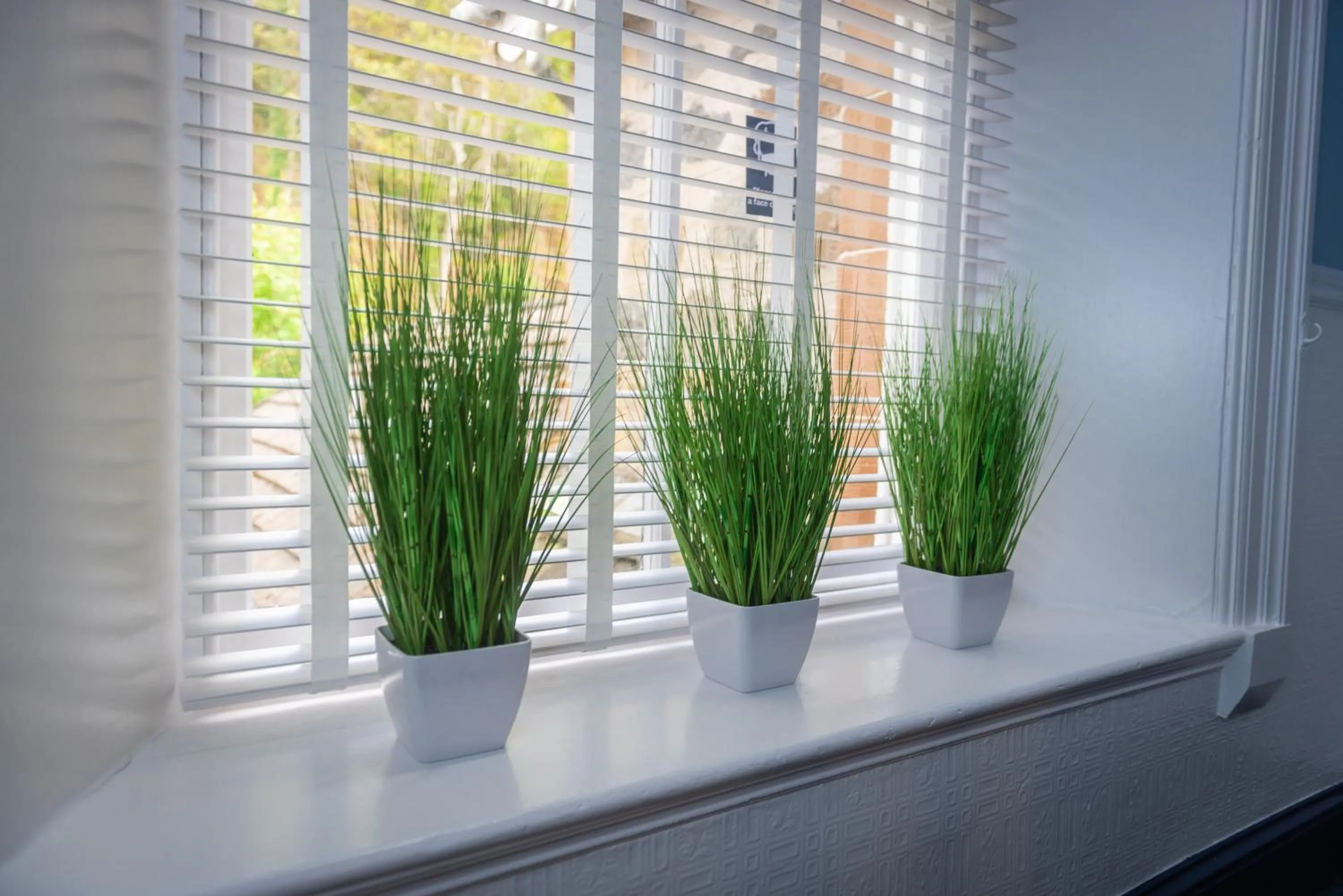 Property building in Barriemore Oban