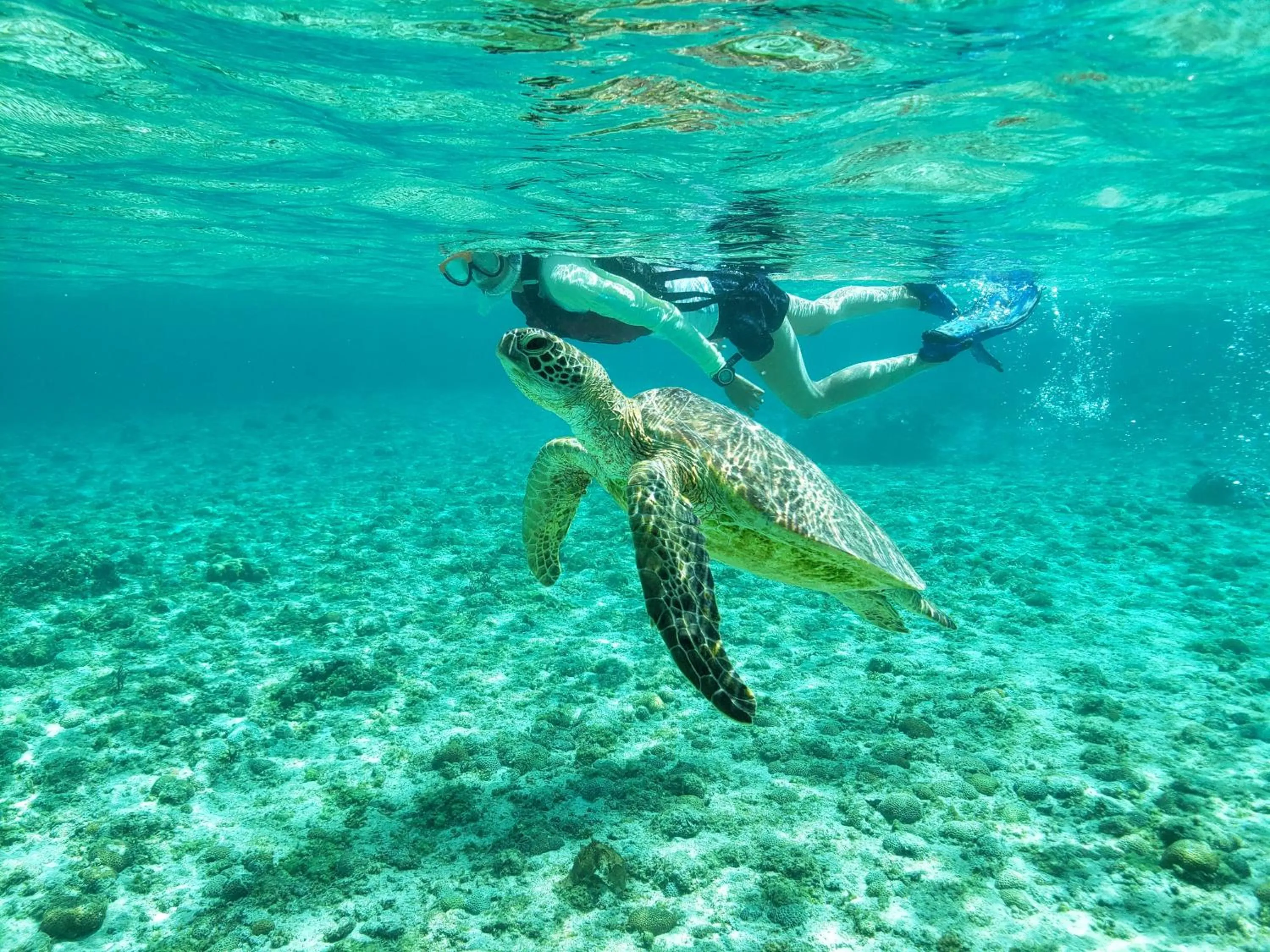 Activities in Hotel Breezebay Marina