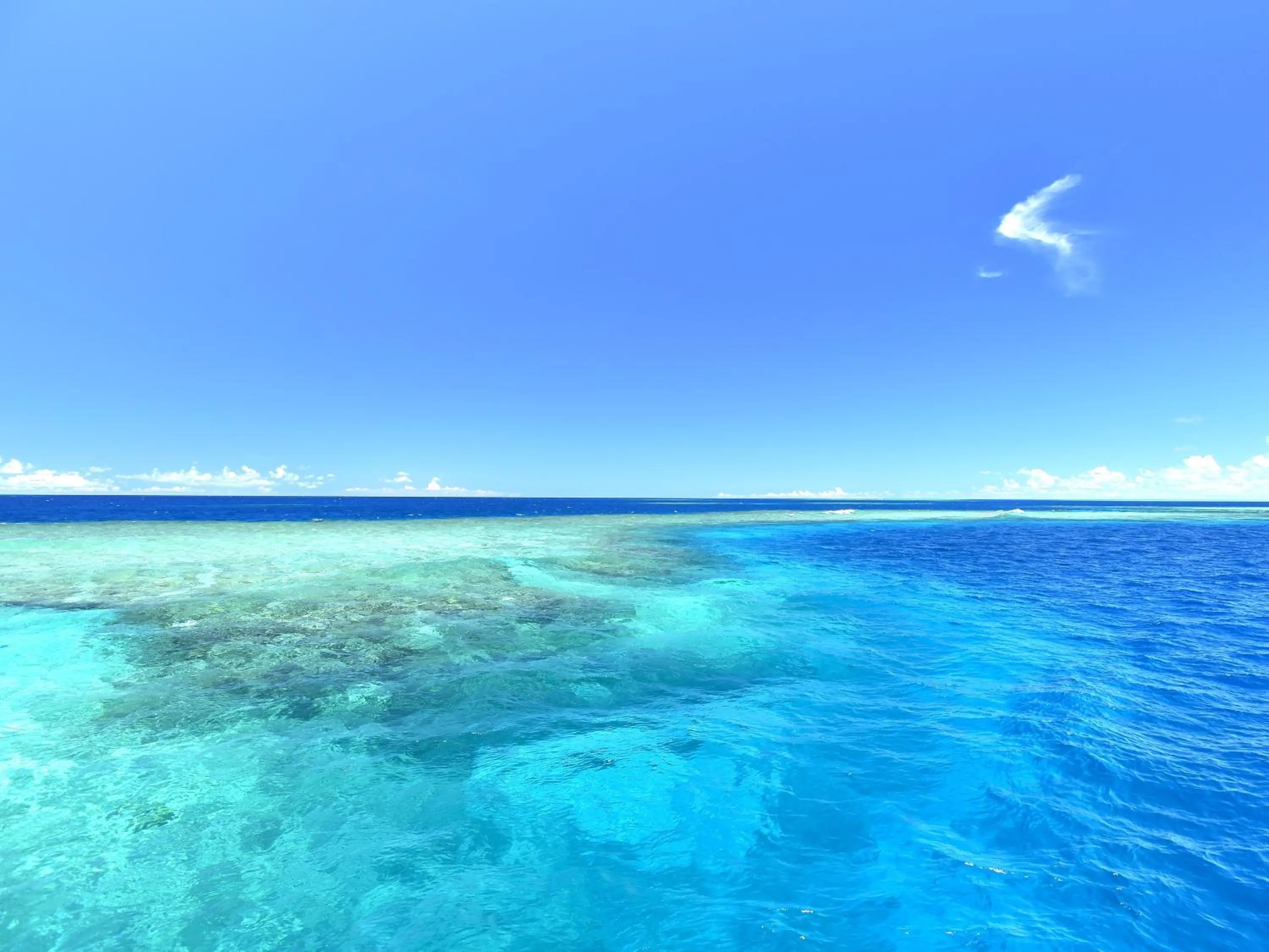 Activities in Hotel Breezebay Marina