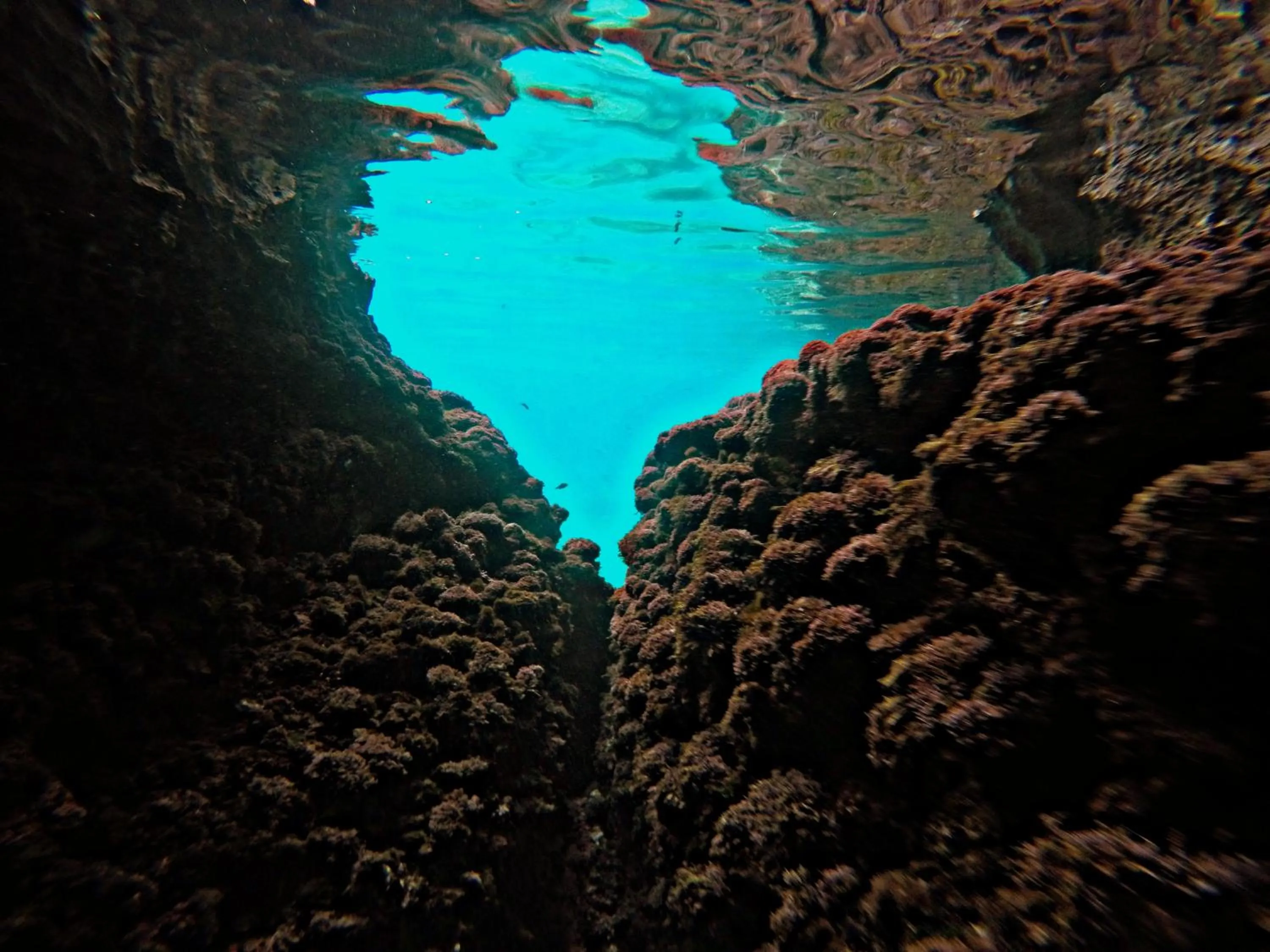 Natural landscape in Club Agia Anna