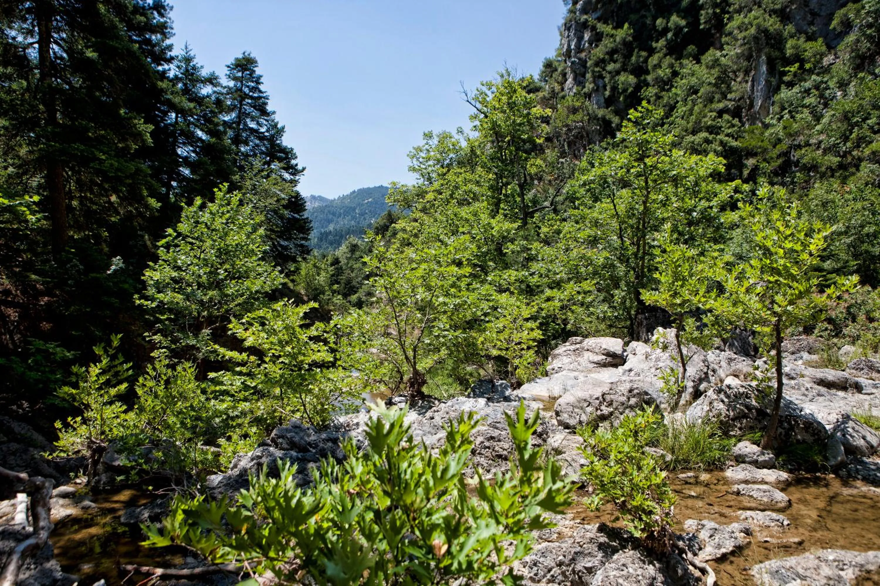 Natural landscape in Club Agia Anna