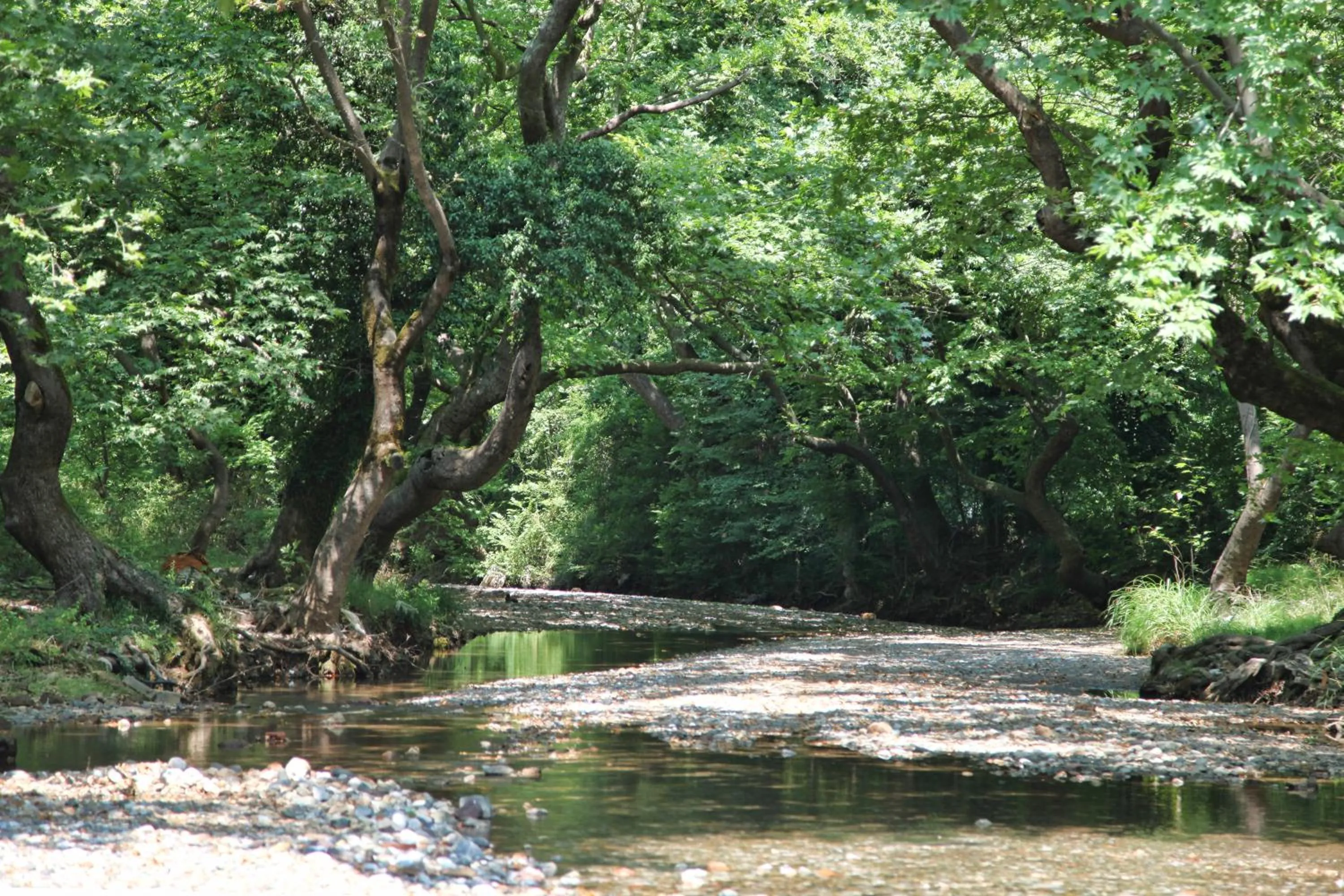 Natural landscape in Club Agia Anna