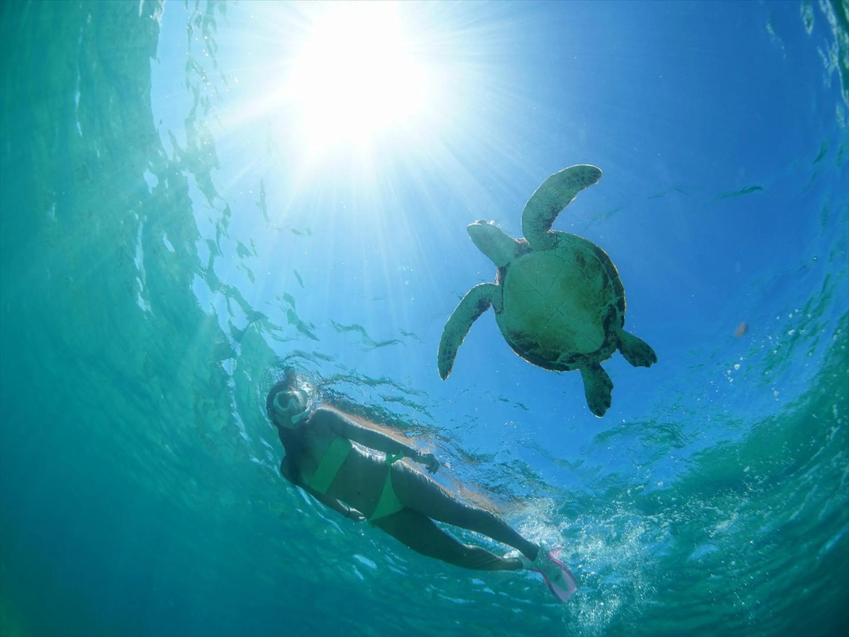 Activities in Shigira Bayside Suite Allamanda