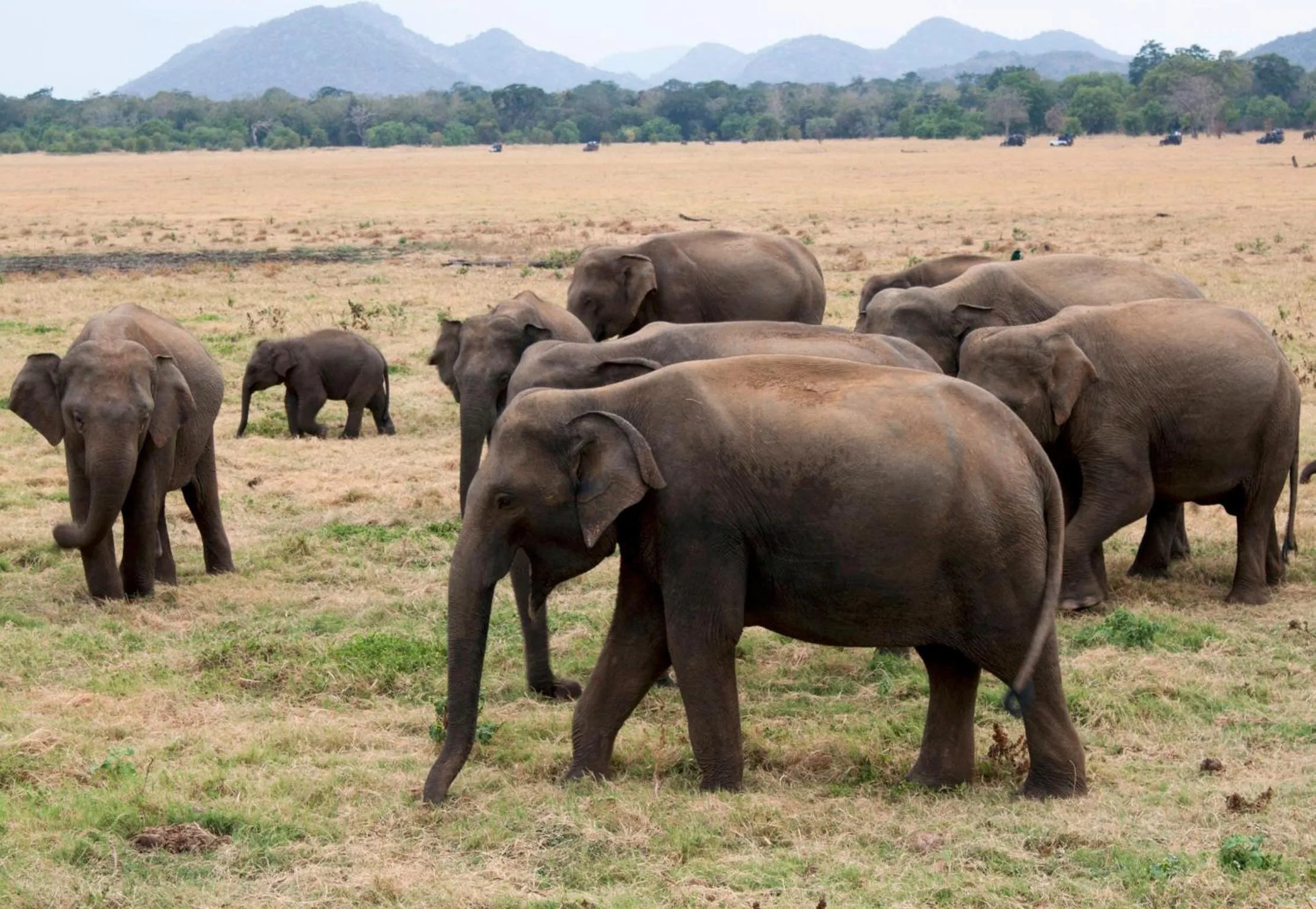 Nearby landmark in Sat Nam Village Hotel