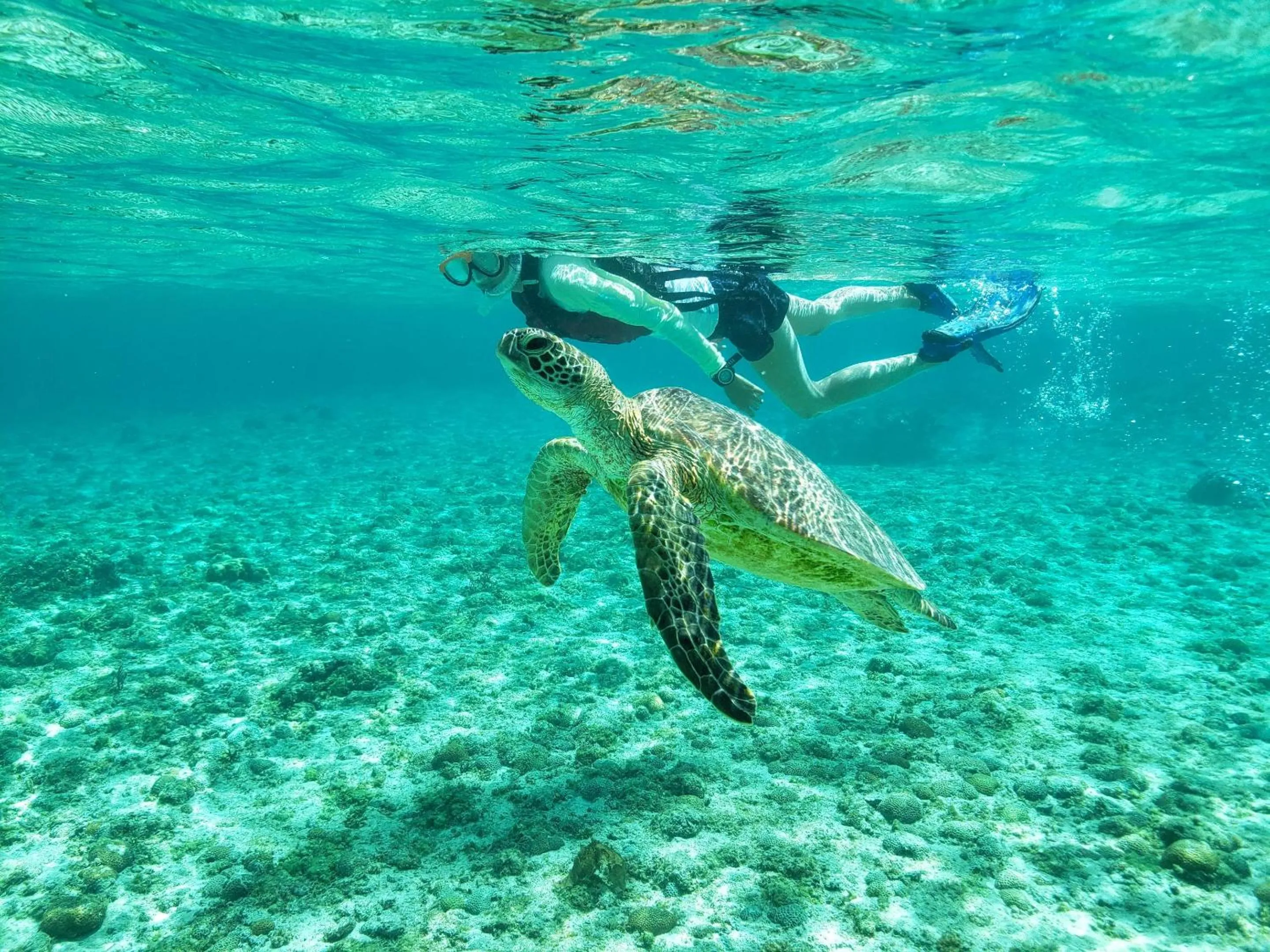 Snorkeling in Wellness Villa Brisa