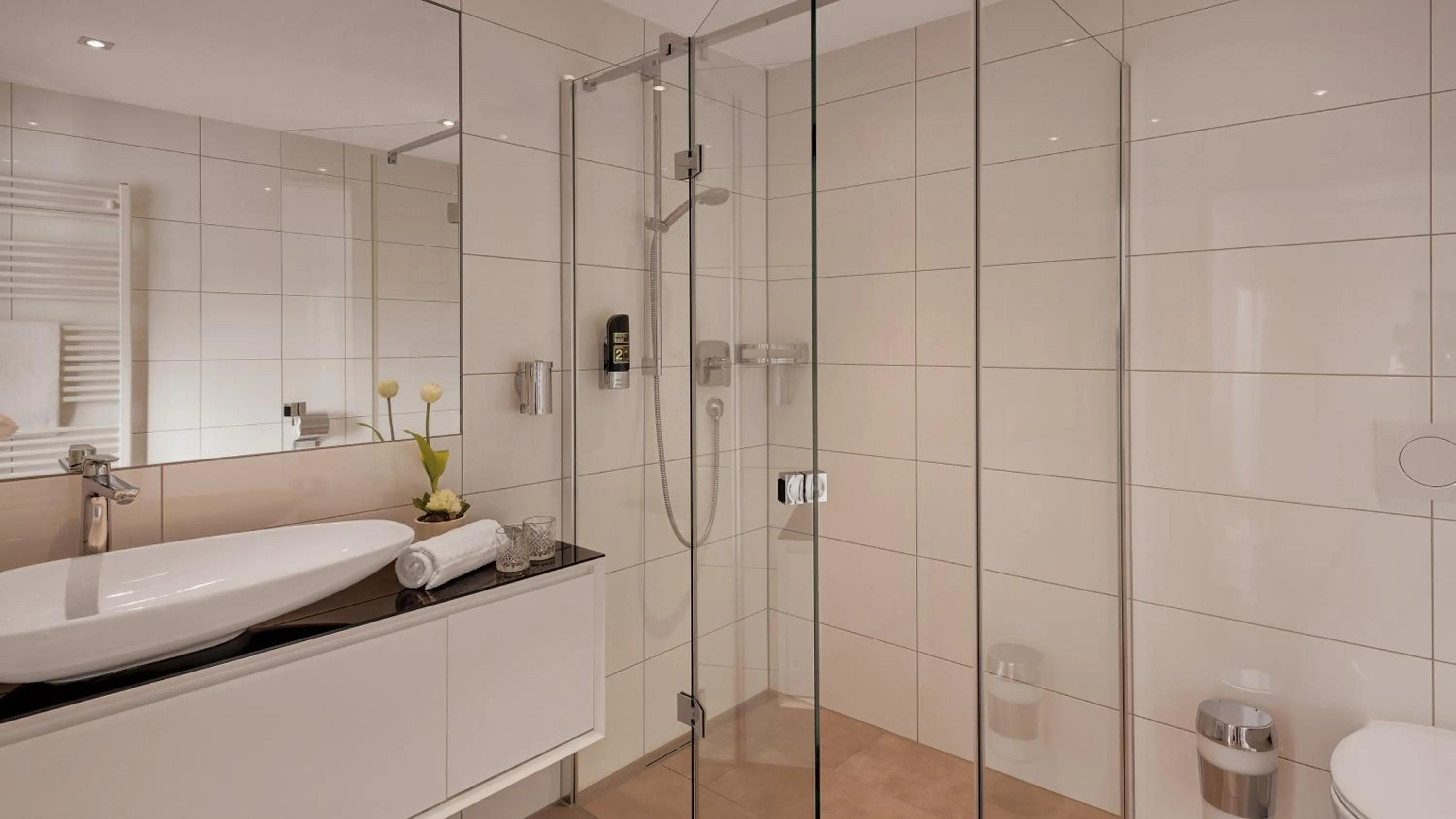 Shower in Hotel Moselauen