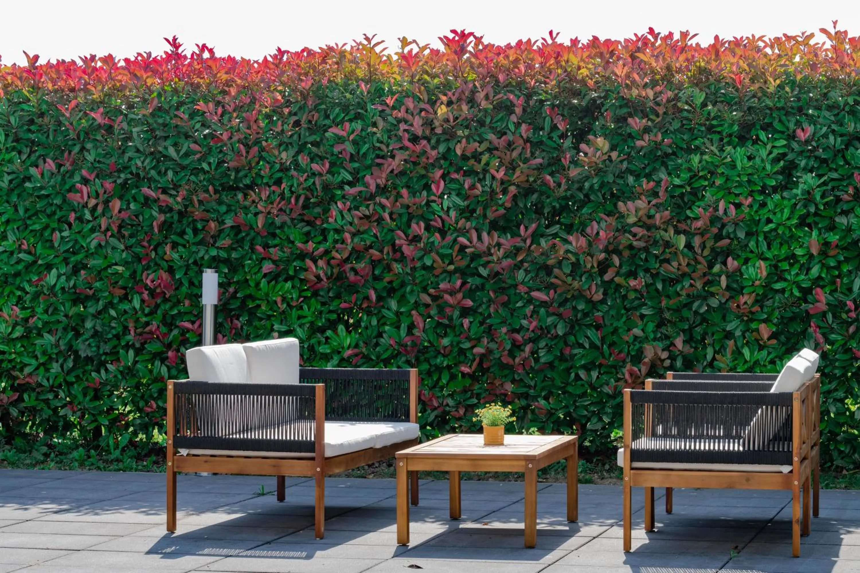 Property building in Hotel Magdalena