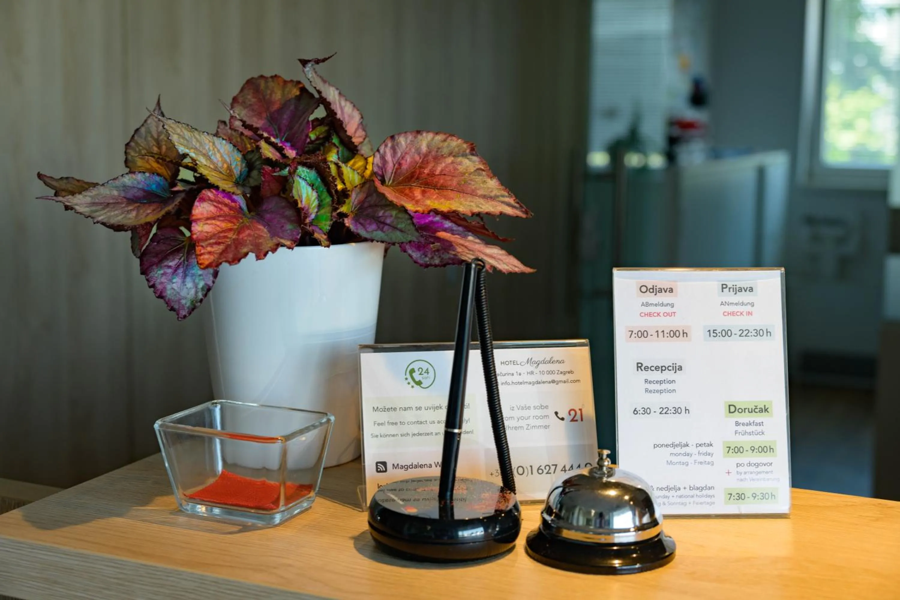 Lobby or reception in Hotel Magdalena