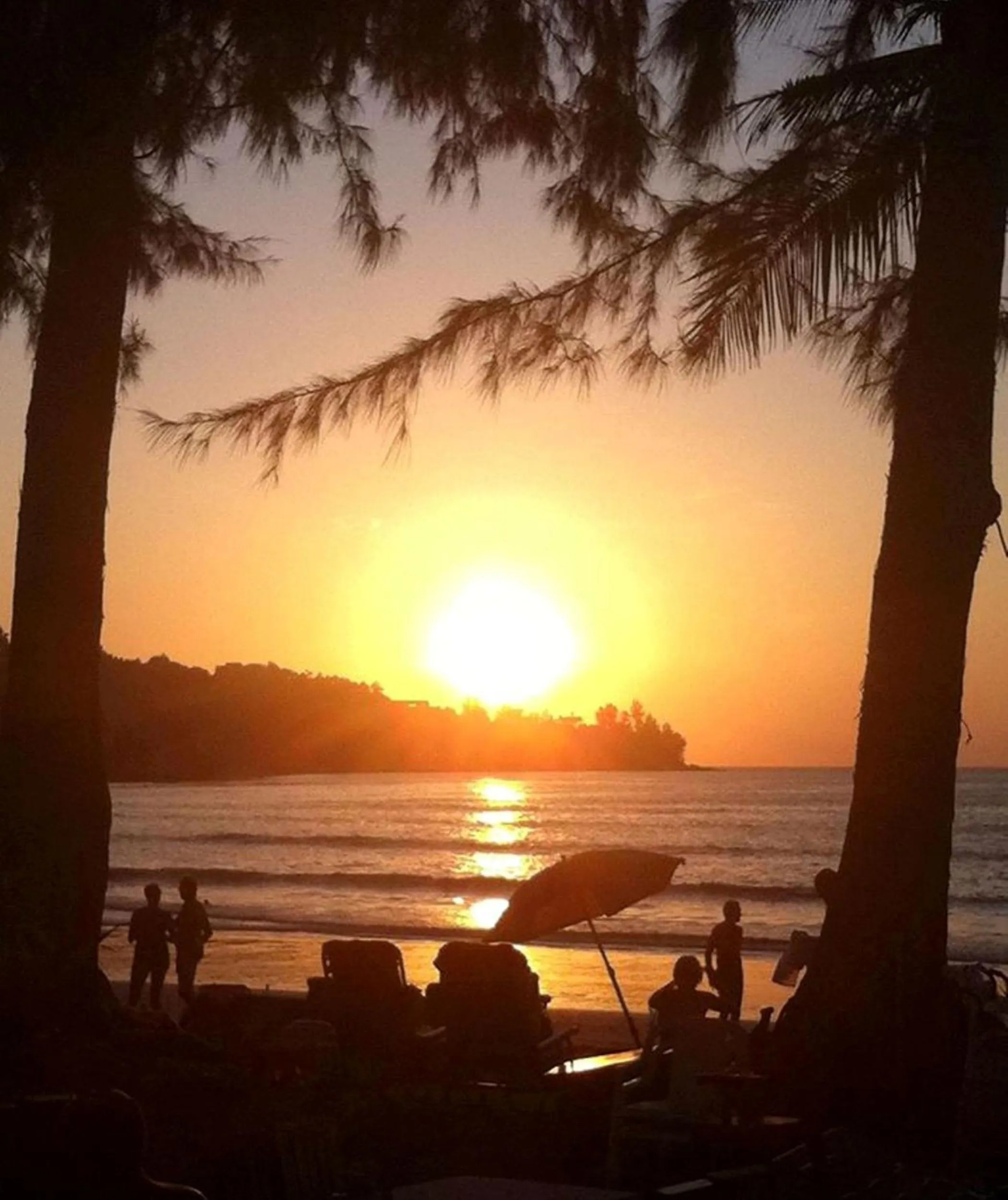 Natural landscape in Kamala Beachfront Apartment