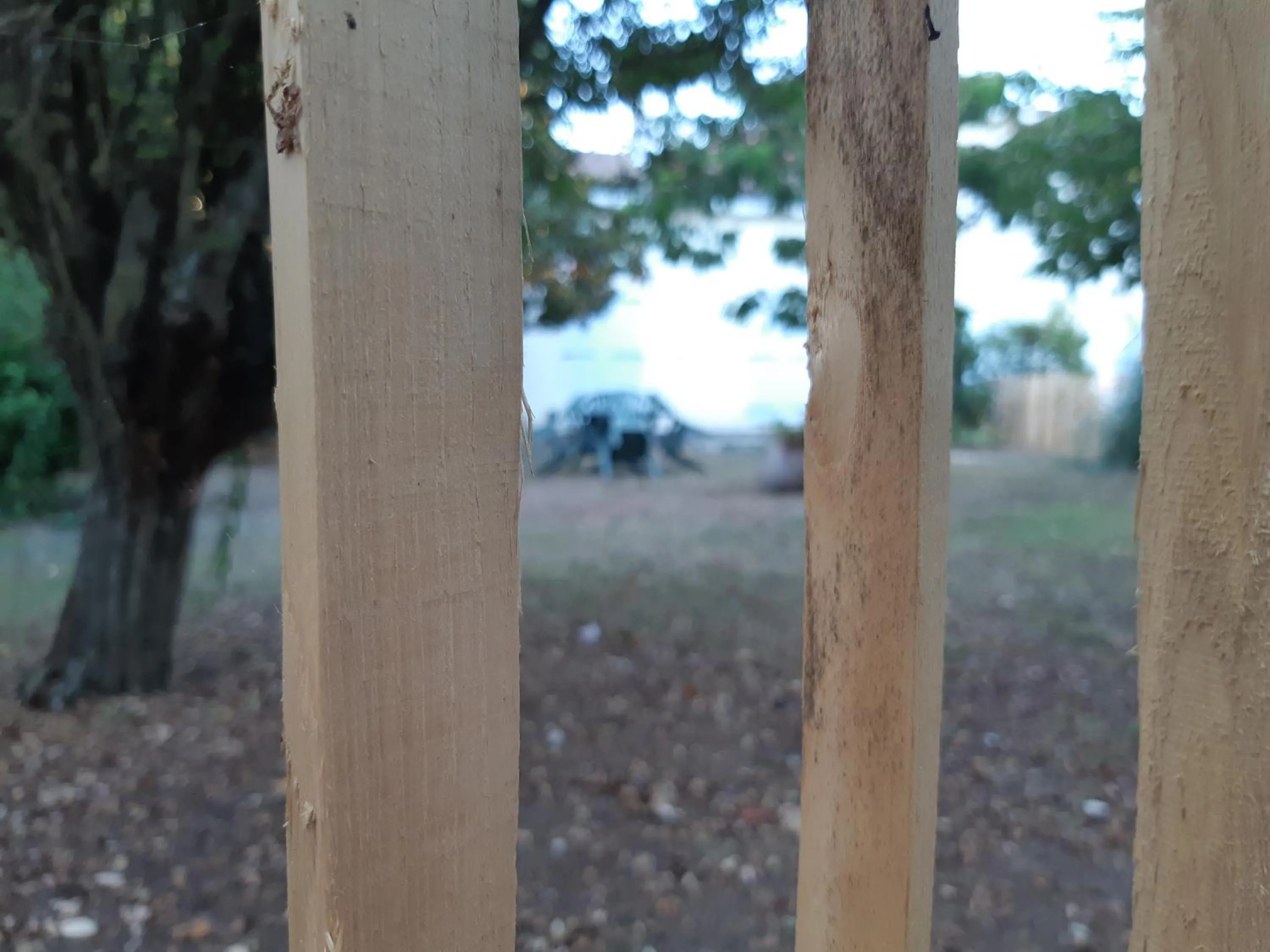 Garden in L'Abri d'Emilie
