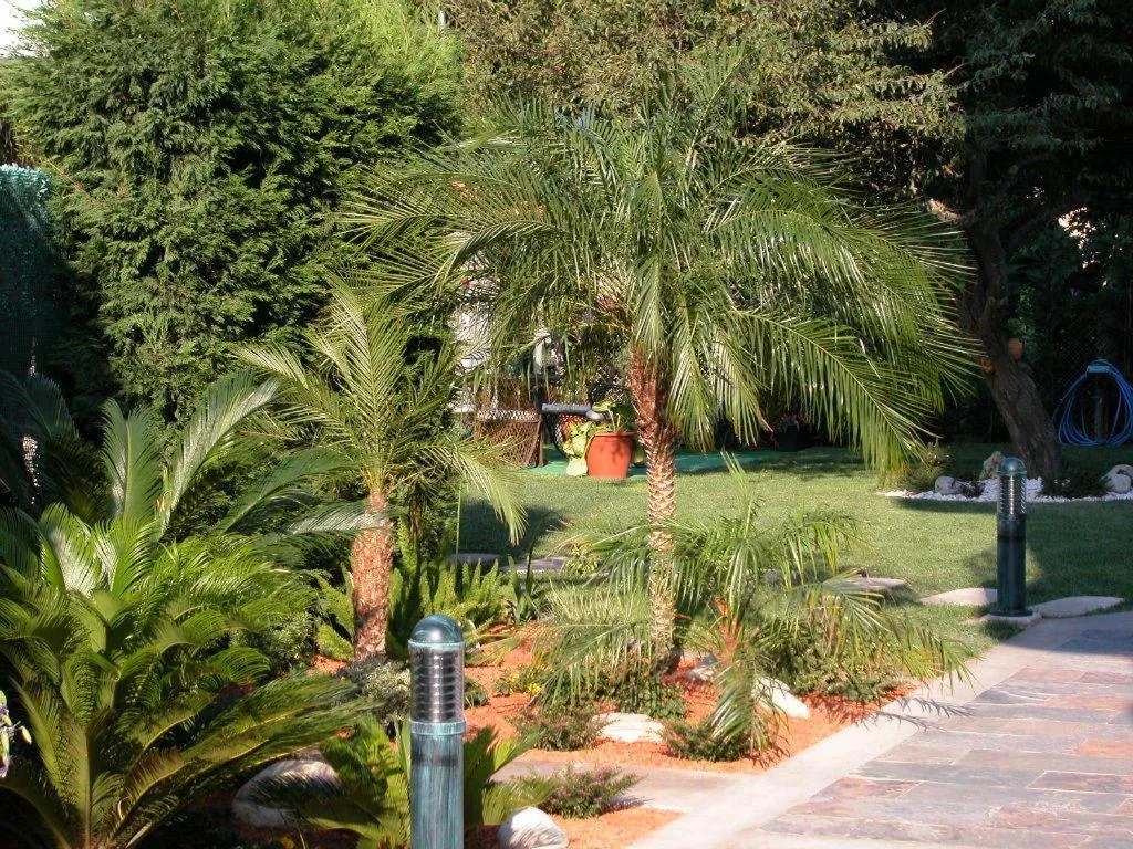 Day in Hotel Piñeiro 2 Estrellas Superior