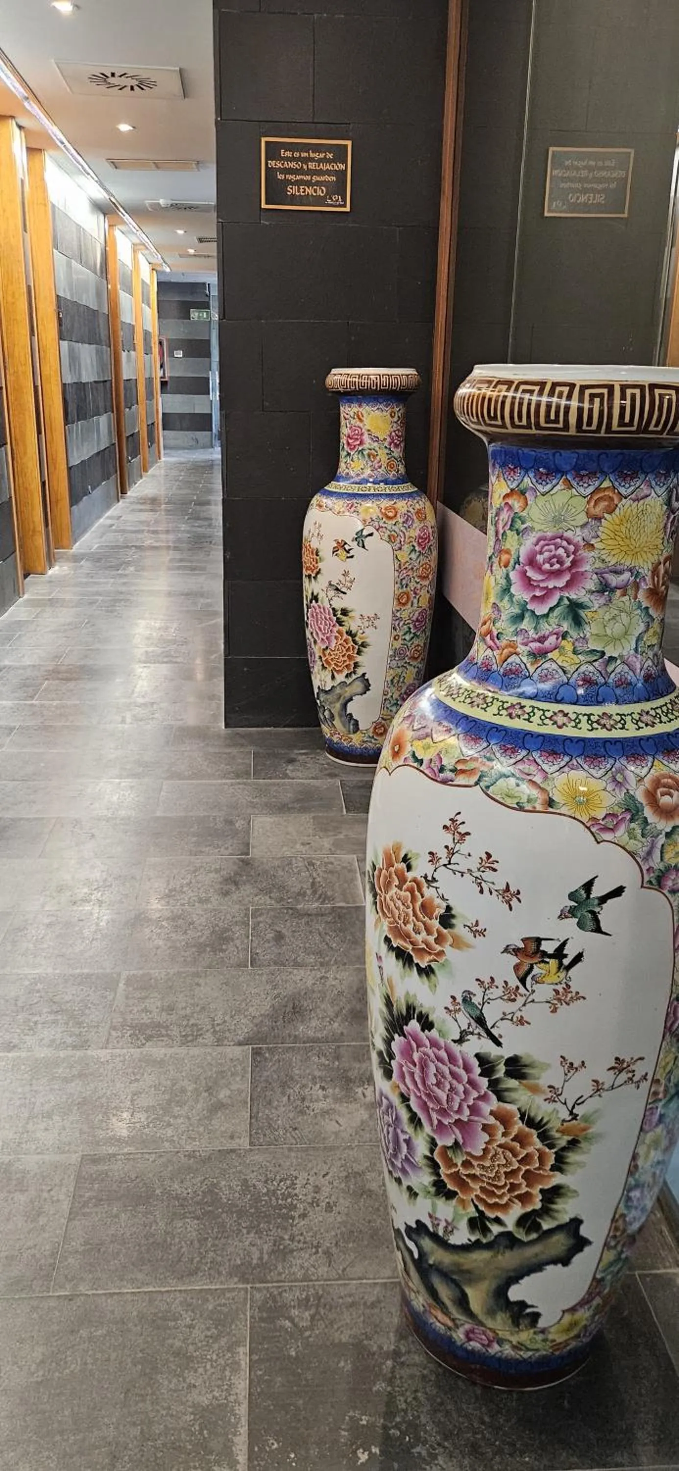 Spa and wellness centre/facilities in Hotel Náyade