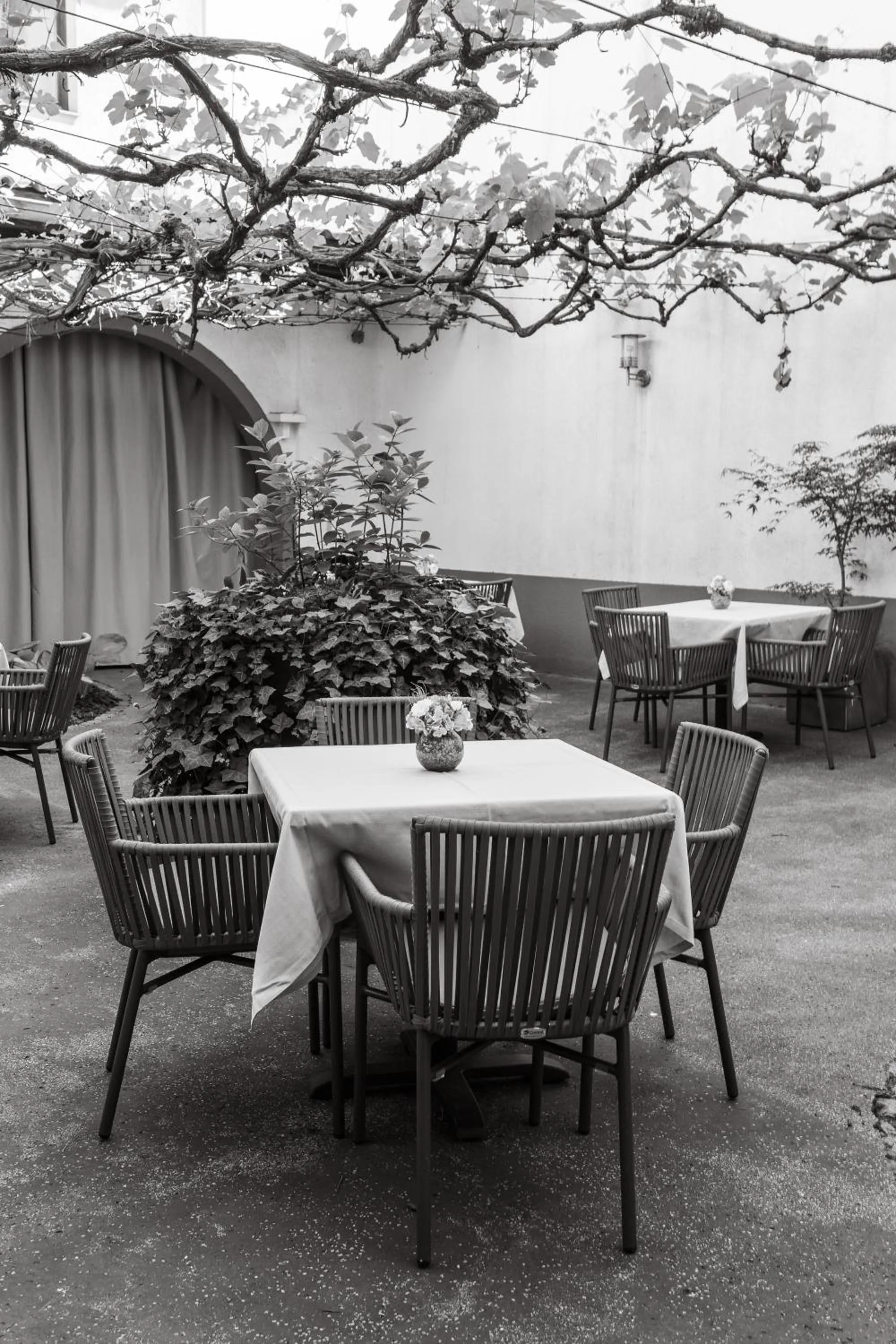 Garden in Hotel Mrak