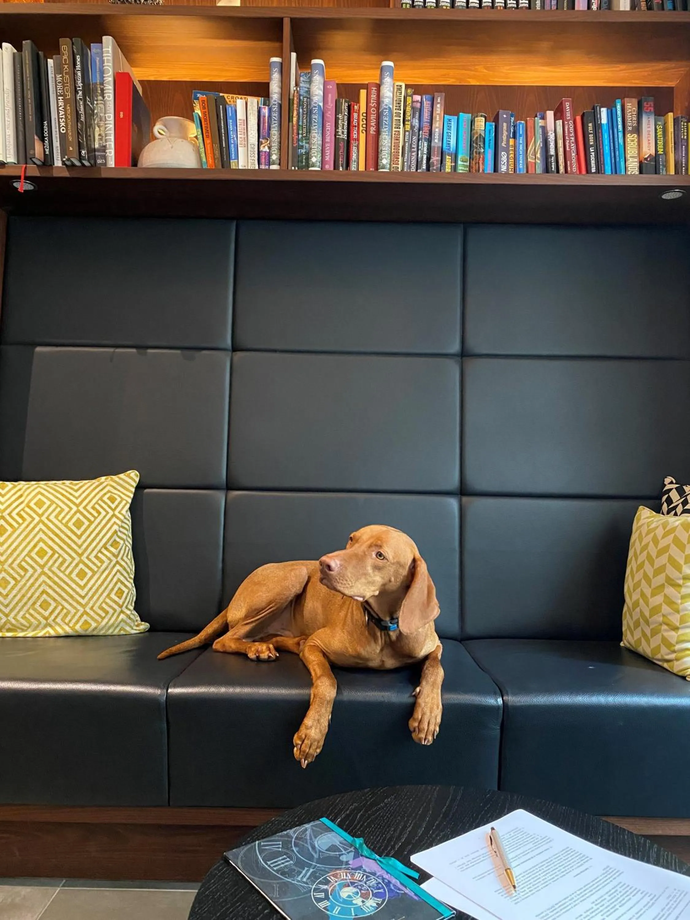 Lobby or reception in Hotel Mrak