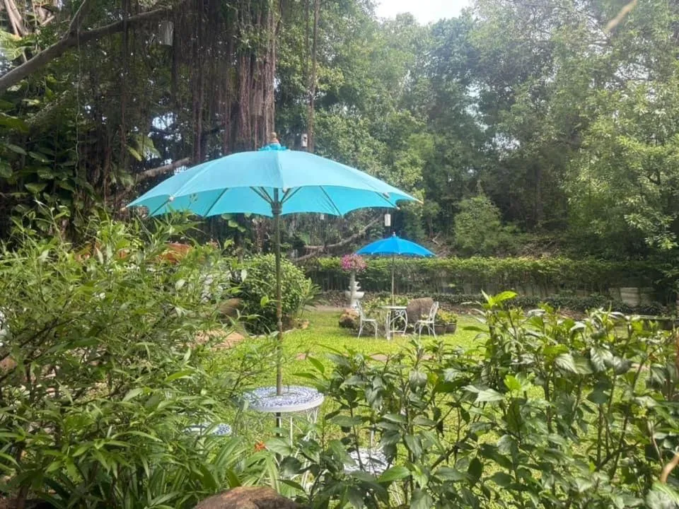 Garden in Banyan House Samui bed and breakfast (Adult Only)
