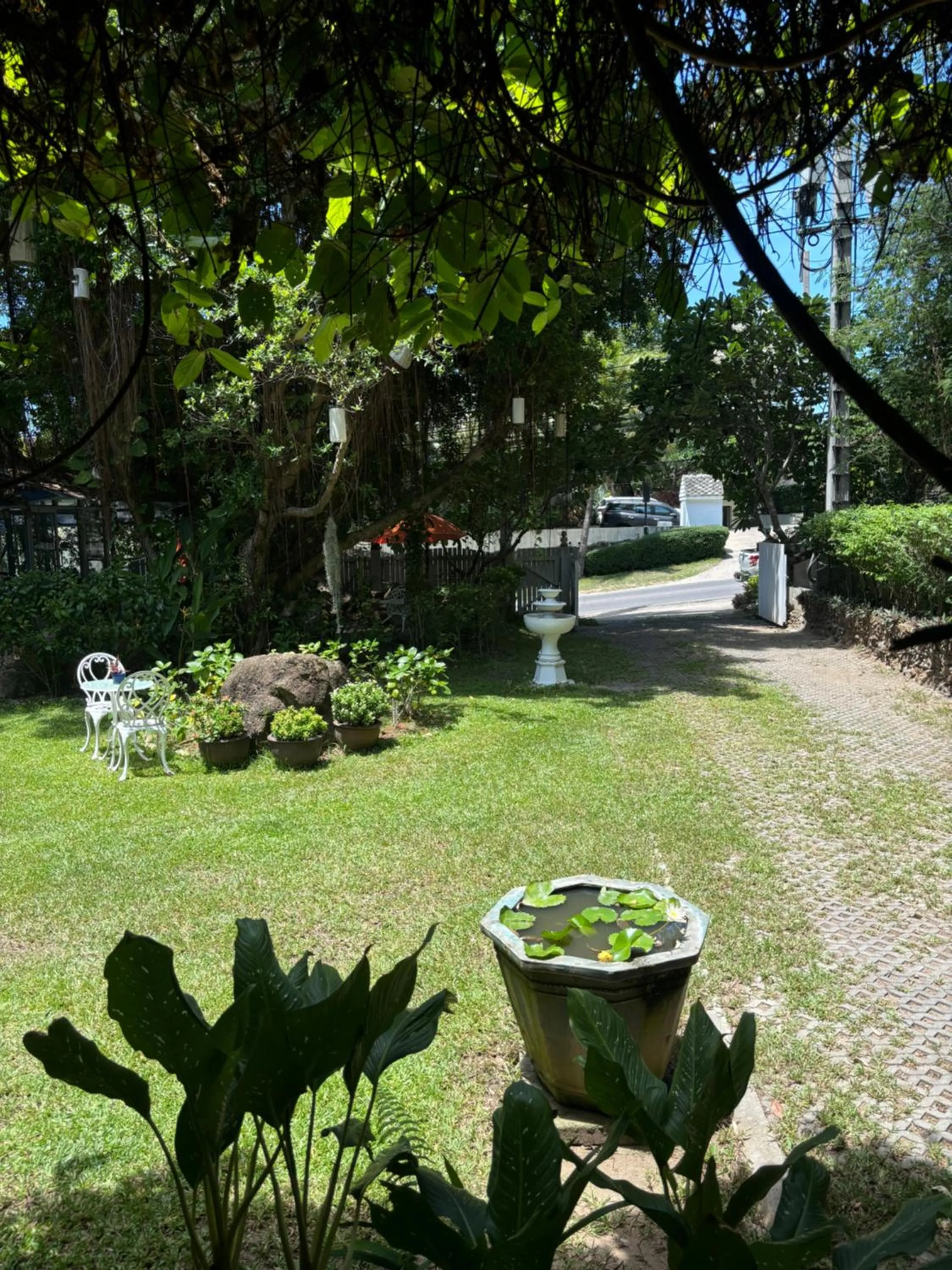 Garden view in Banyan House Samui bed and breakfast (Adult Only)