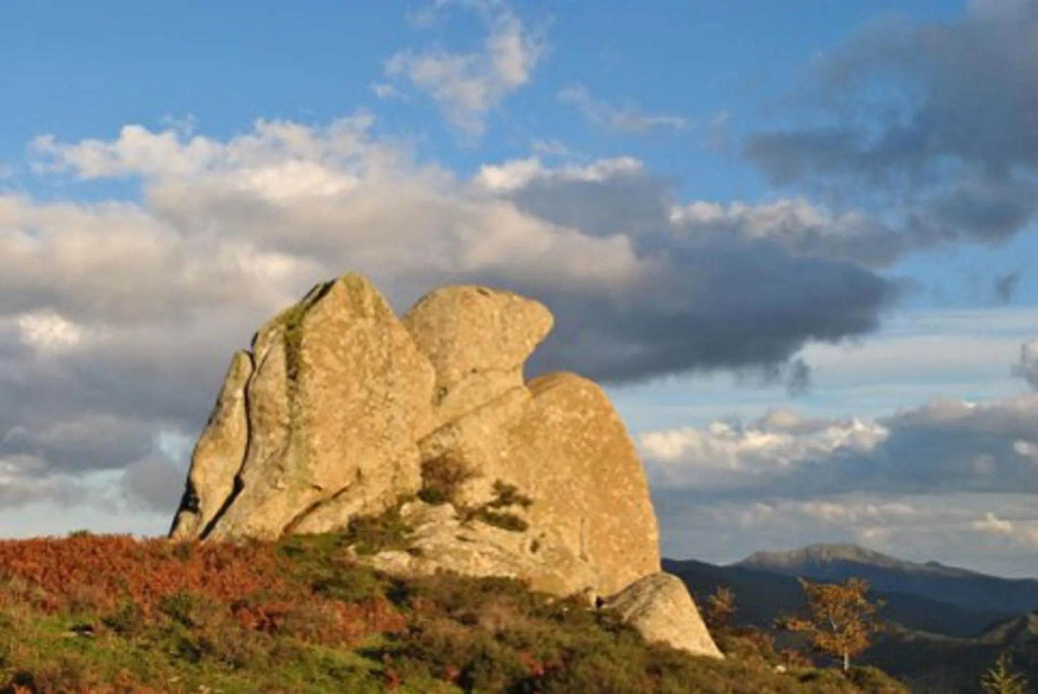 Activities in Hotel La Rosa Dei Venti