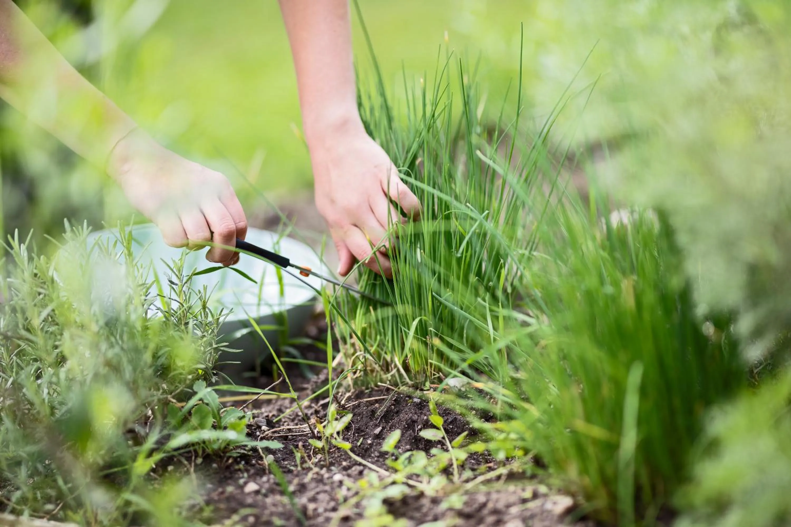 Garden in Boutique Hotel Zum Oberjäger, Schloss Lackenbach