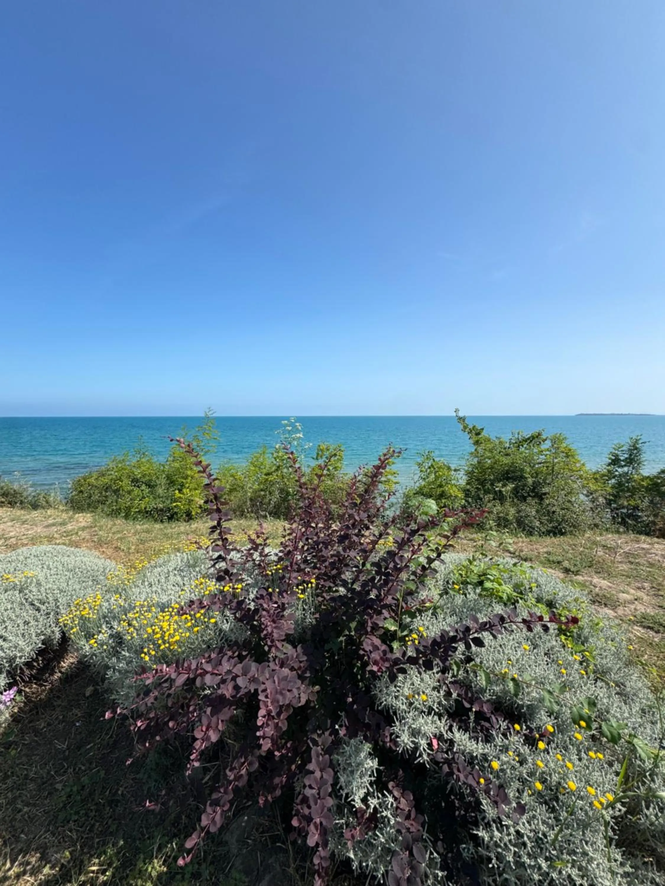 Beach in Sineva Del Sol Apartments