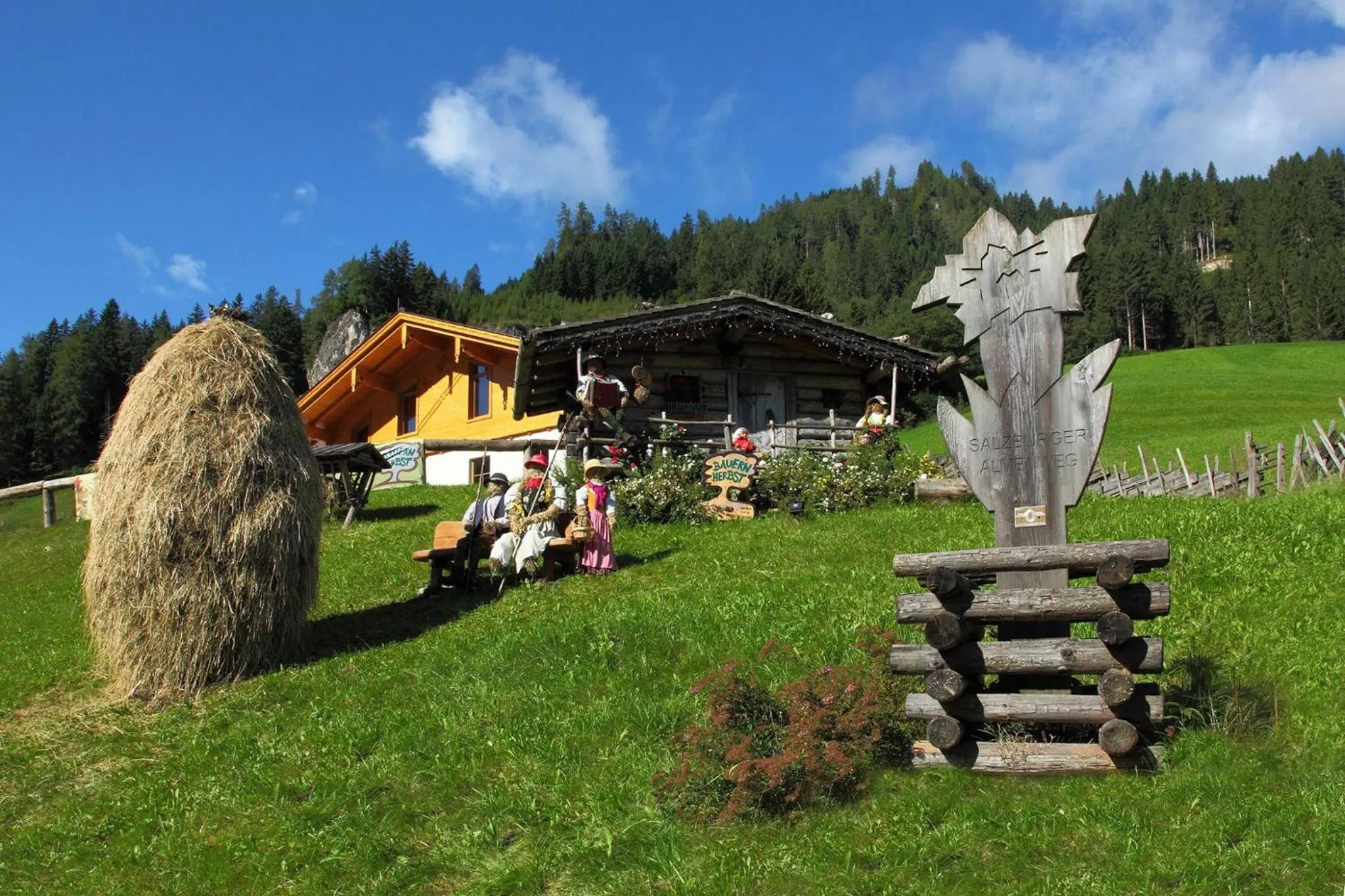 Area and facilities in Bauernhof Schornlehen