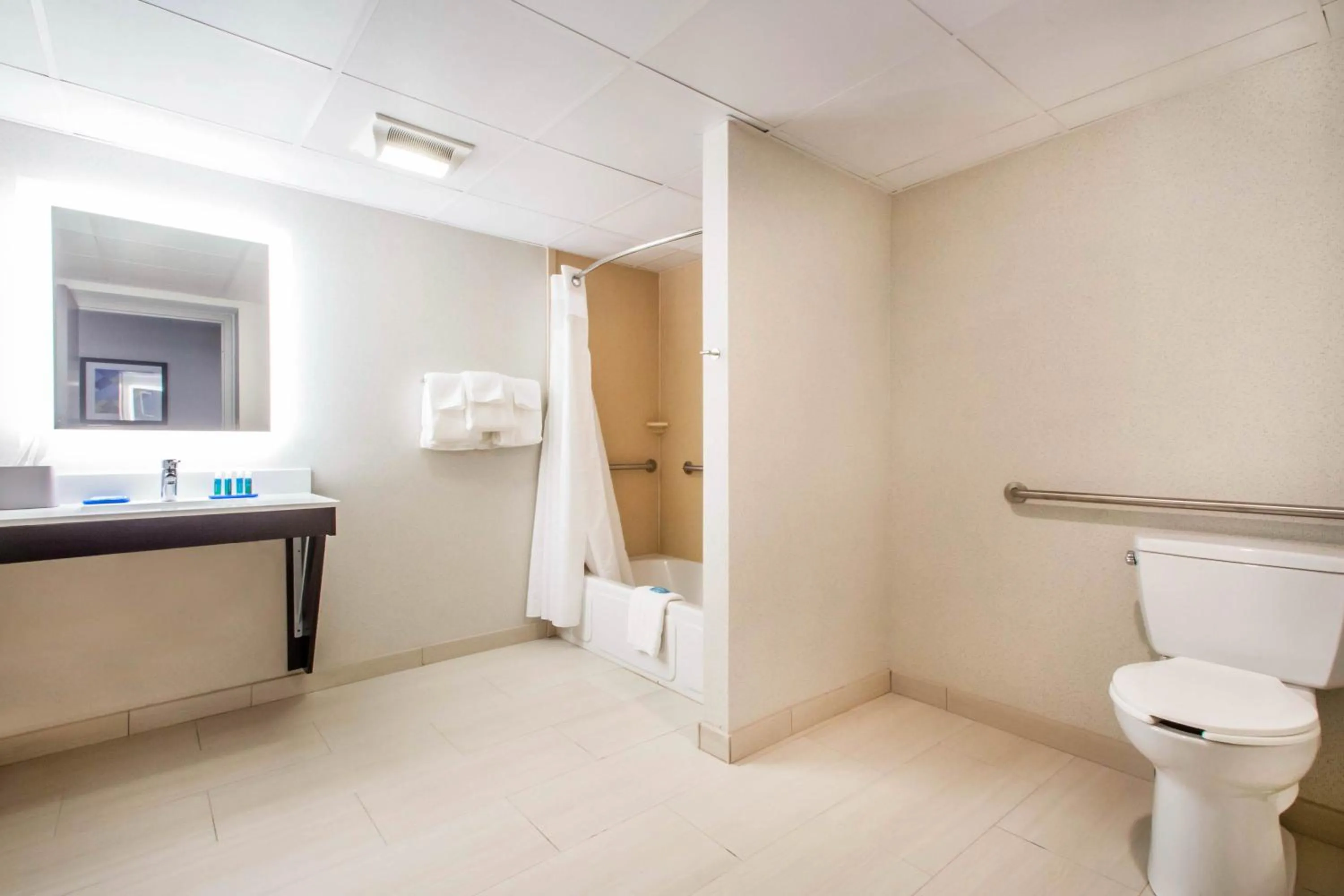 Bathroom in Holiday Inn Express & Suites - Albany Airport - Wolf Road by IHG