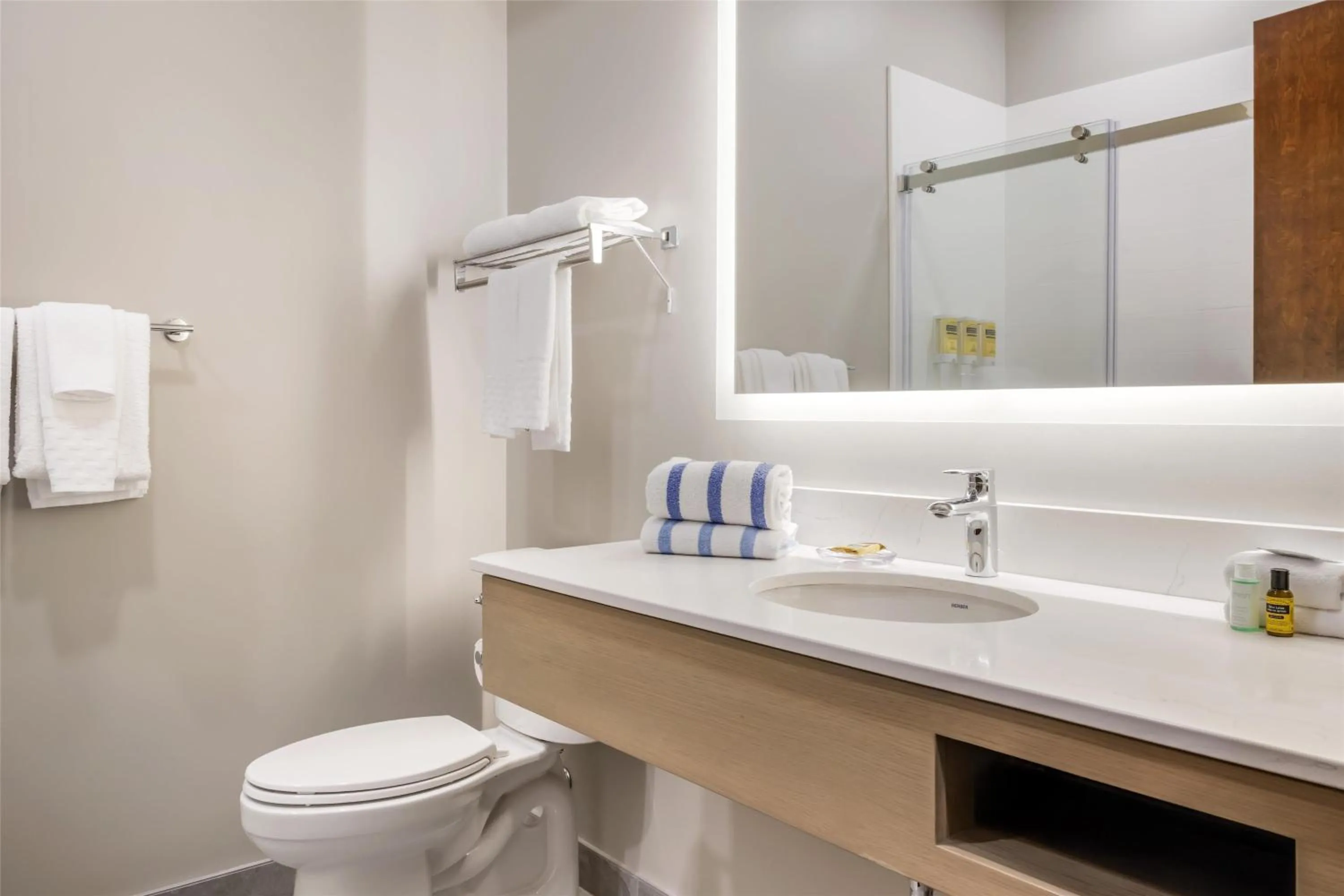Bathroom in Best Western Plus Bridgewater Hotel & Convention Centre