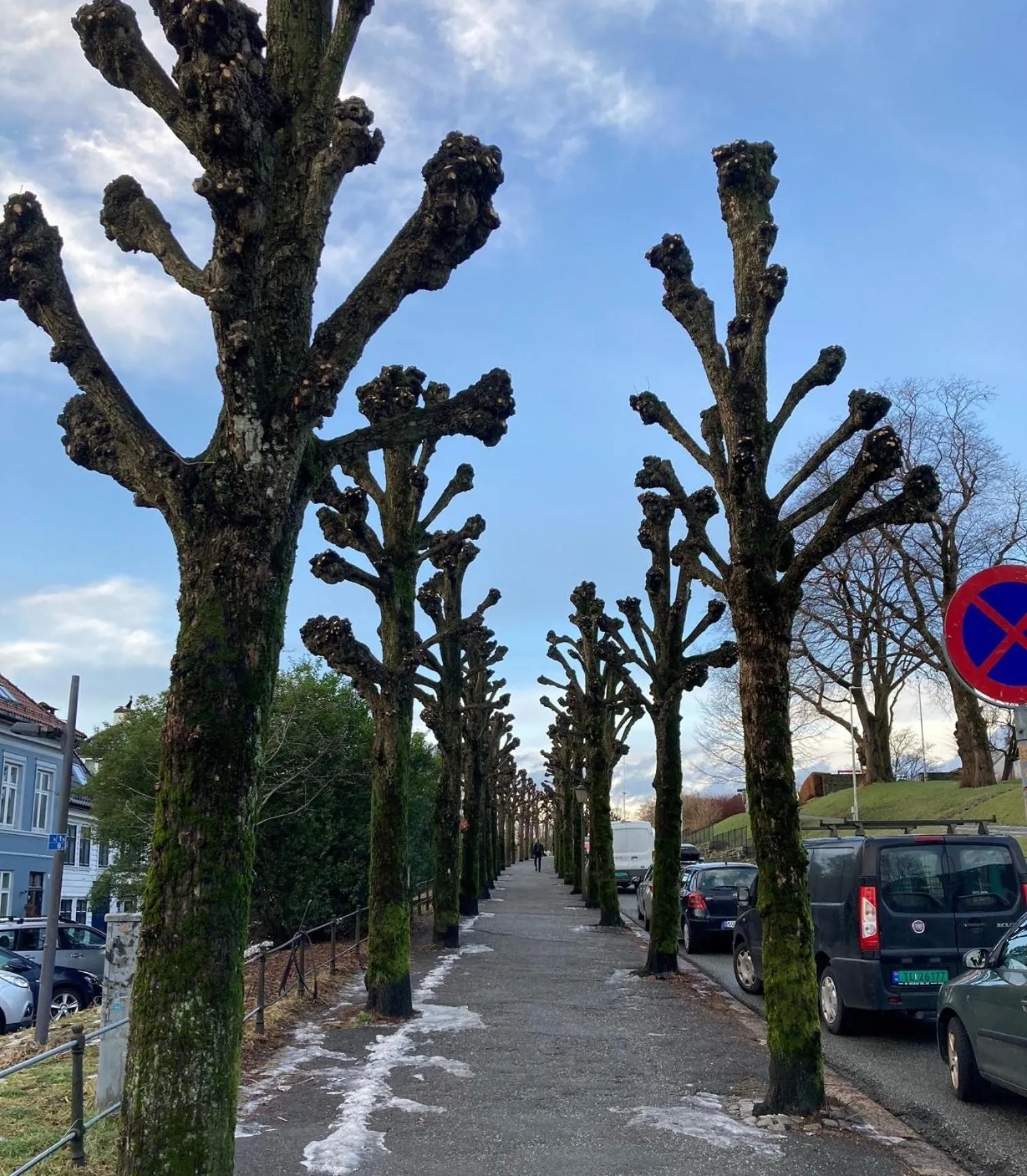 Neighbourhood in Klosterhagen Hotel