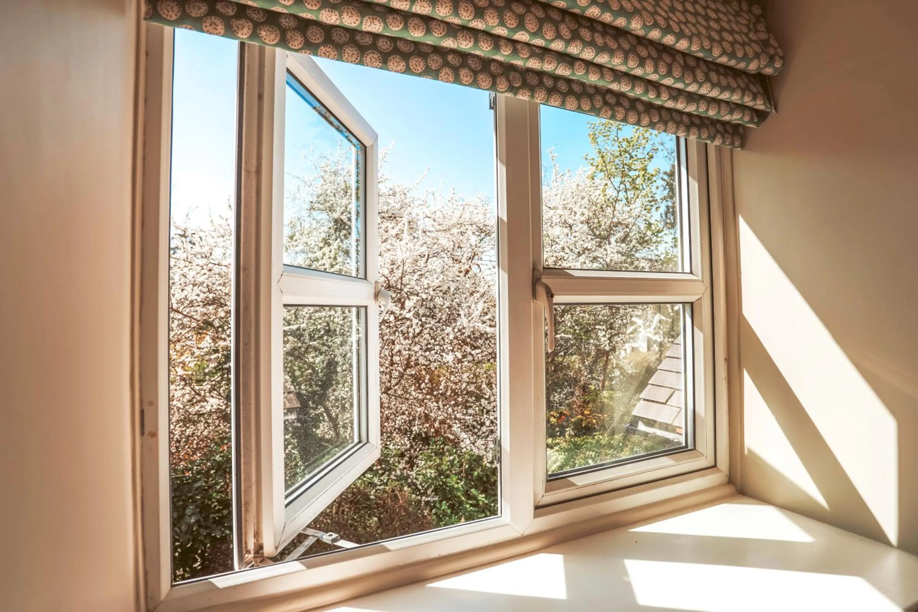 View (from property/room) in The Winning Post