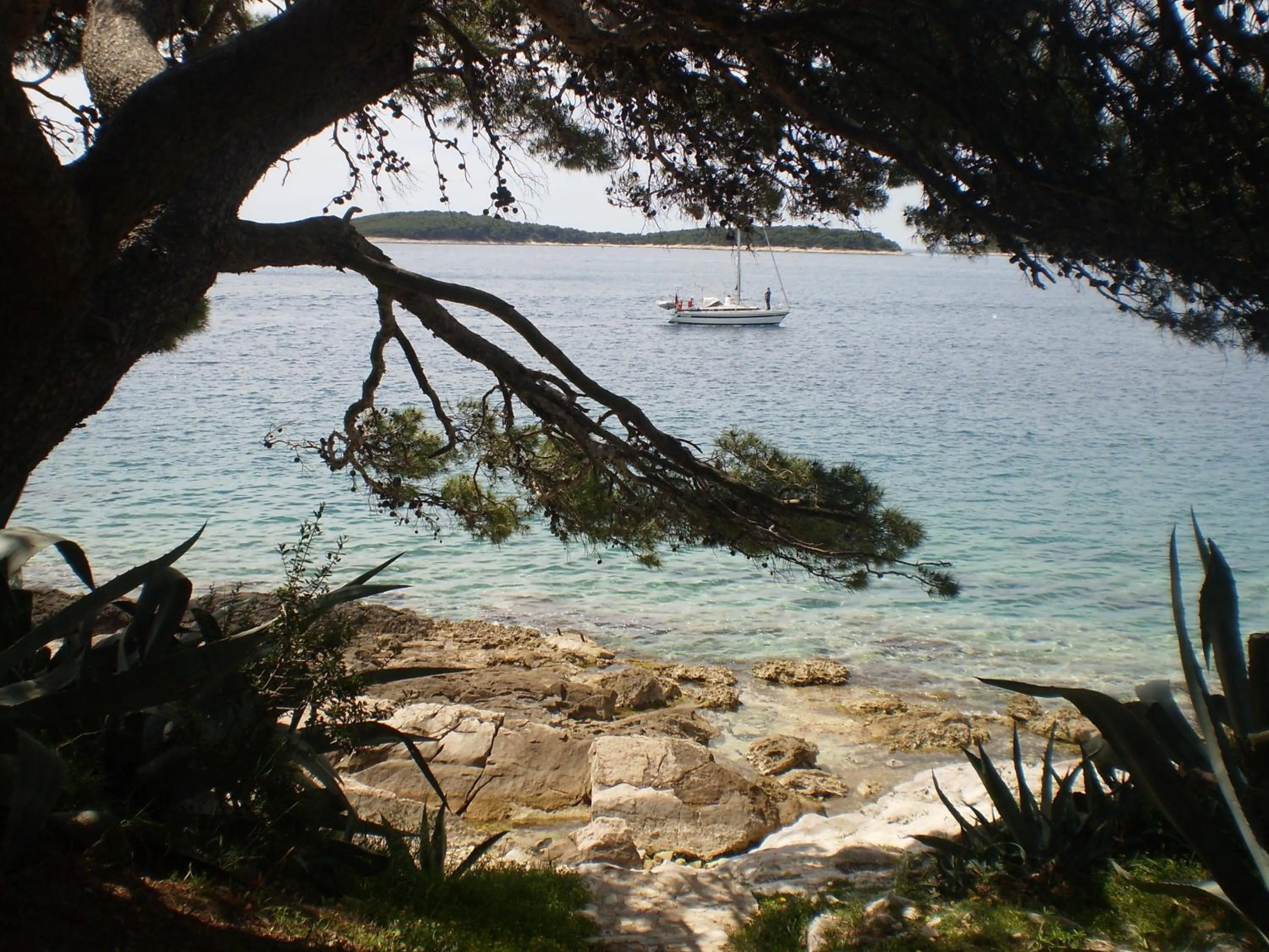 Beach in B&B Buzolic