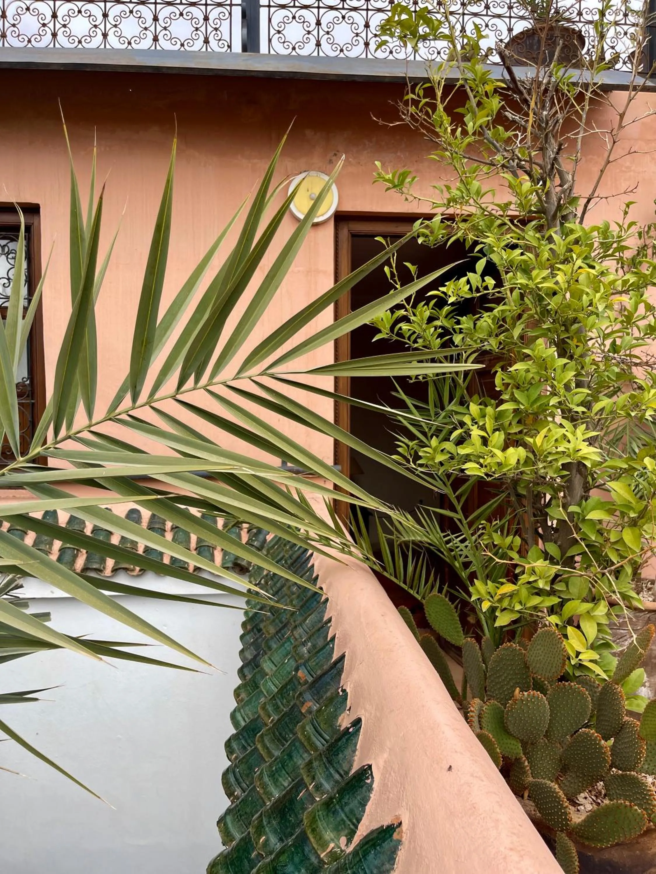 View (from property/room) in Riad Elias & Spa