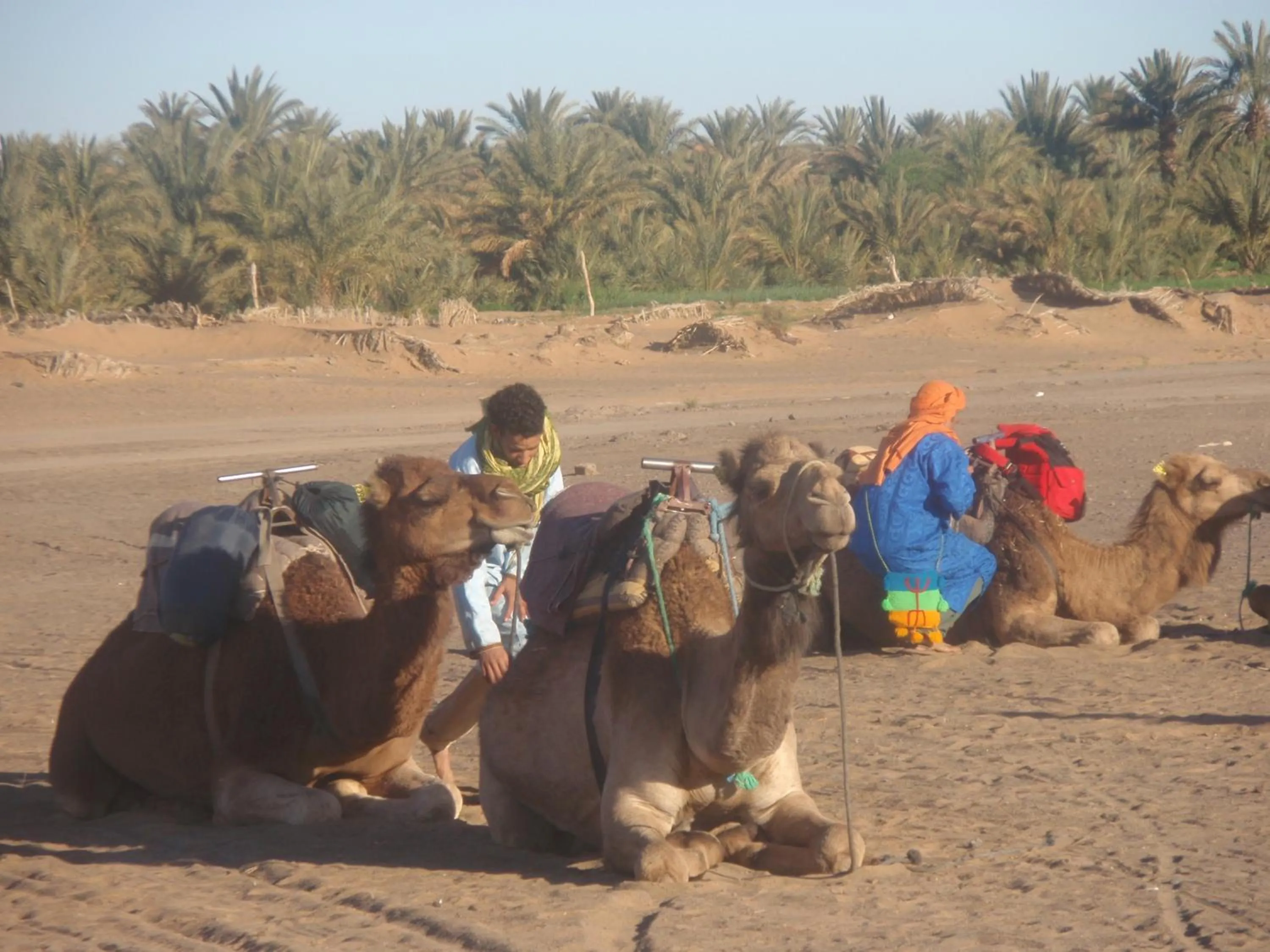 Activities in Riad Aicha & Camel Trekking