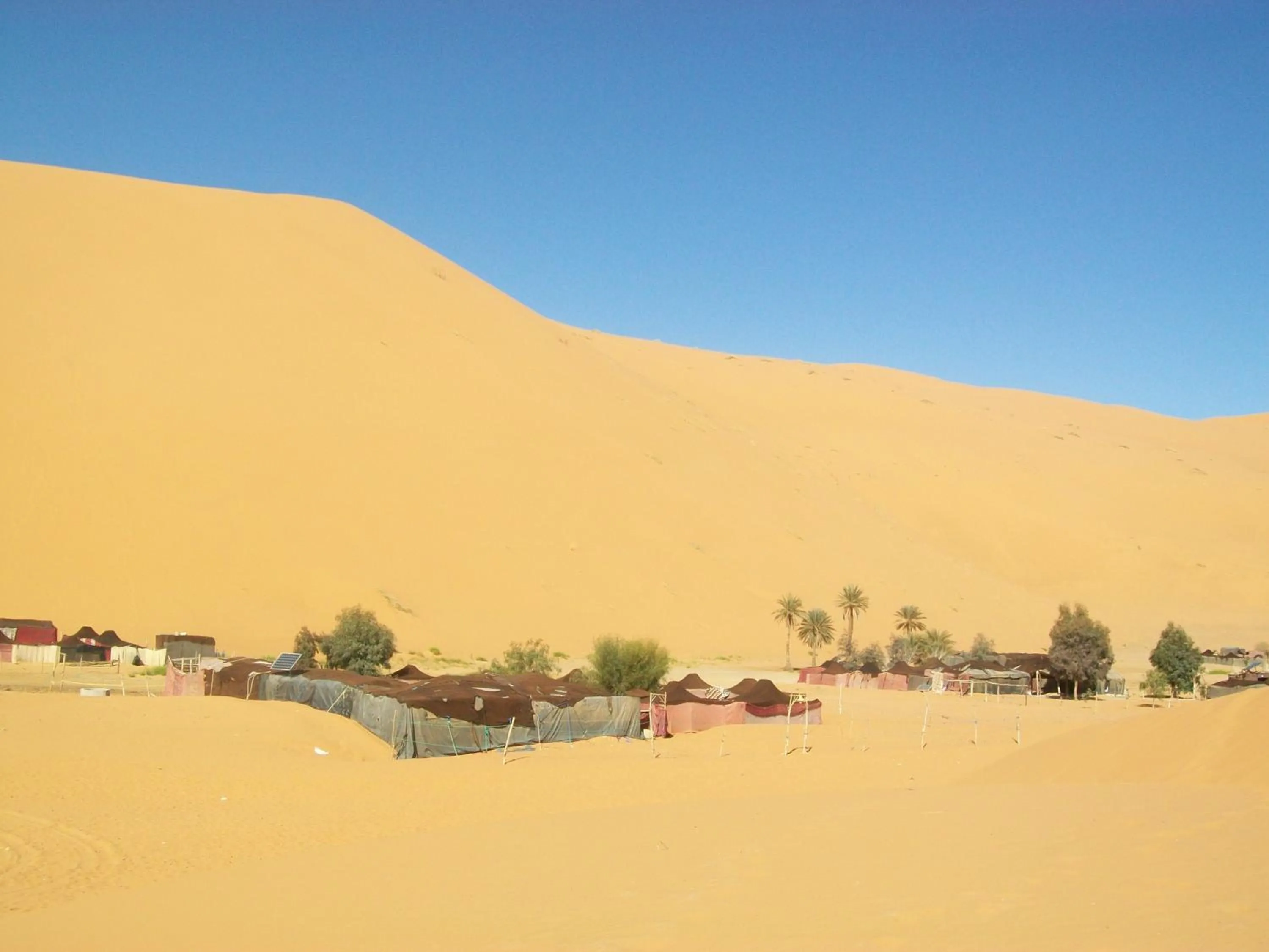 Garden in Riad Aicha & Camel Trekking