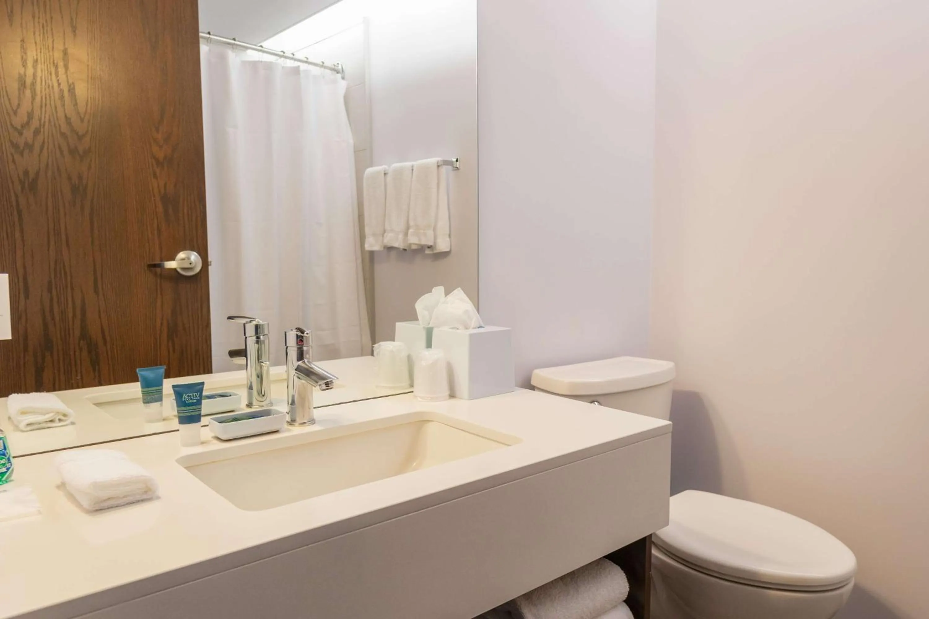 Executive King Suite - Non-Smoking in Lakeview Signature, Trademark Collection by Wyndham