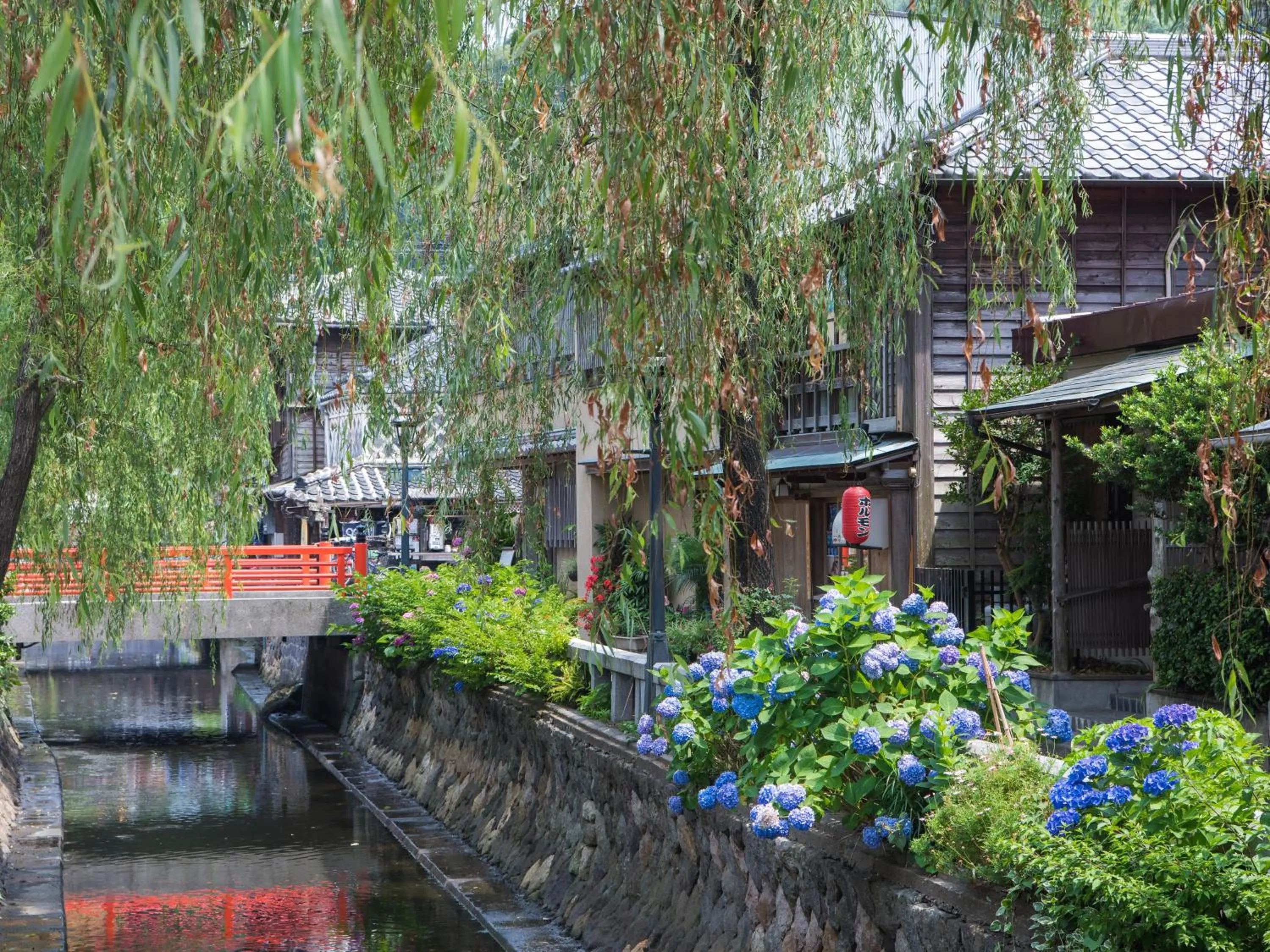 Cycling in Kurofune Hotel
