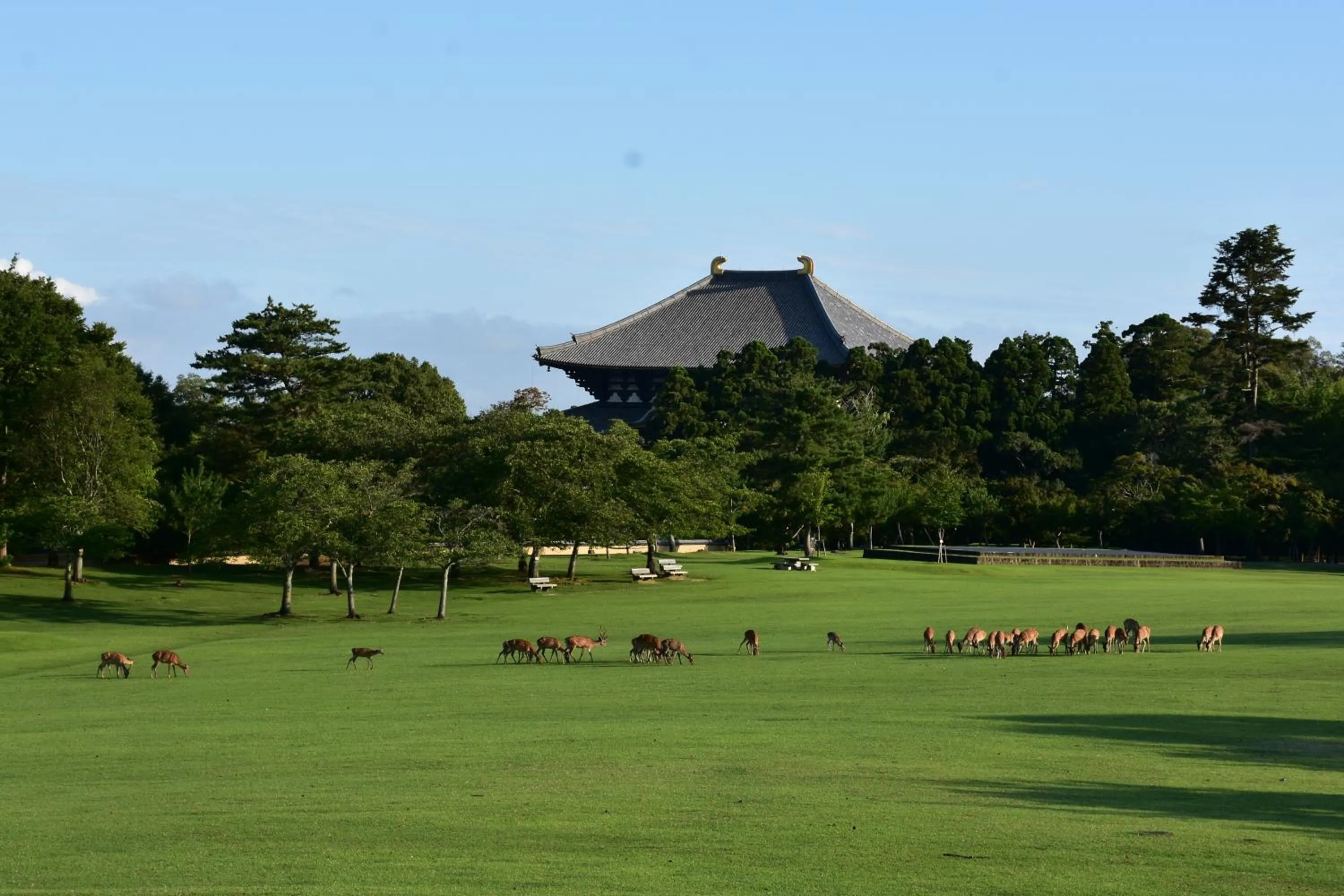 Nearby landmark in Guesthouse Naramachi