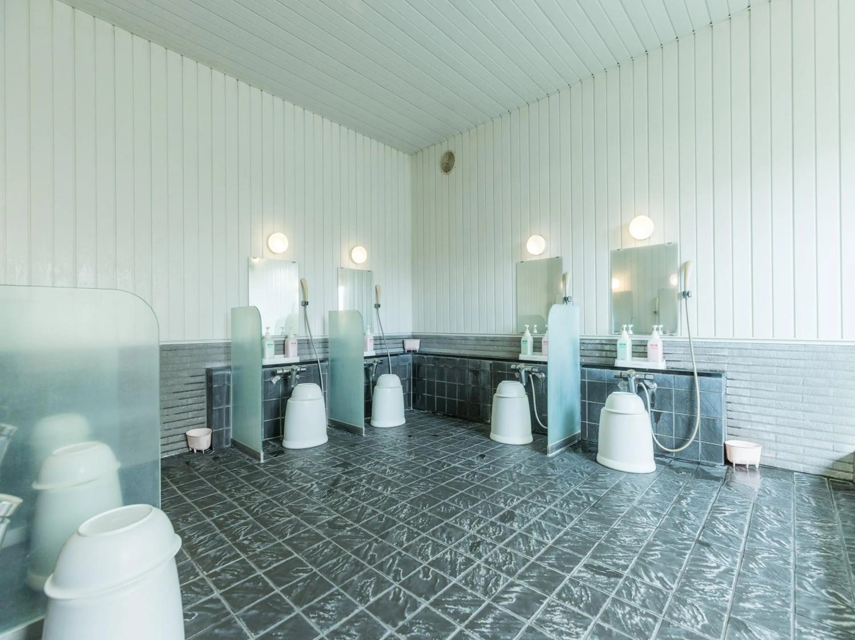 Public Bath in Hotel Isesaki East