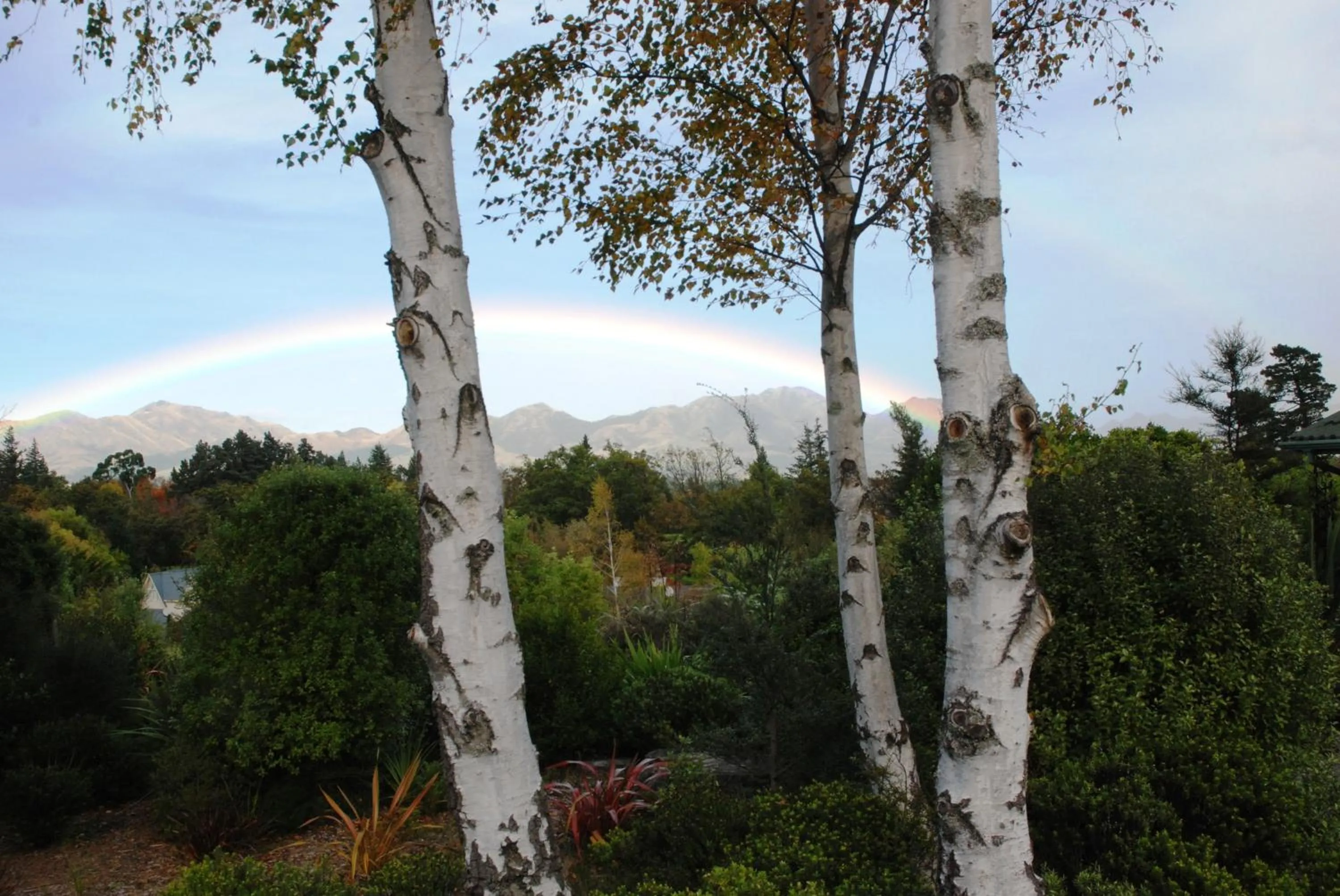 View (from property/room) in The Chalets Motel