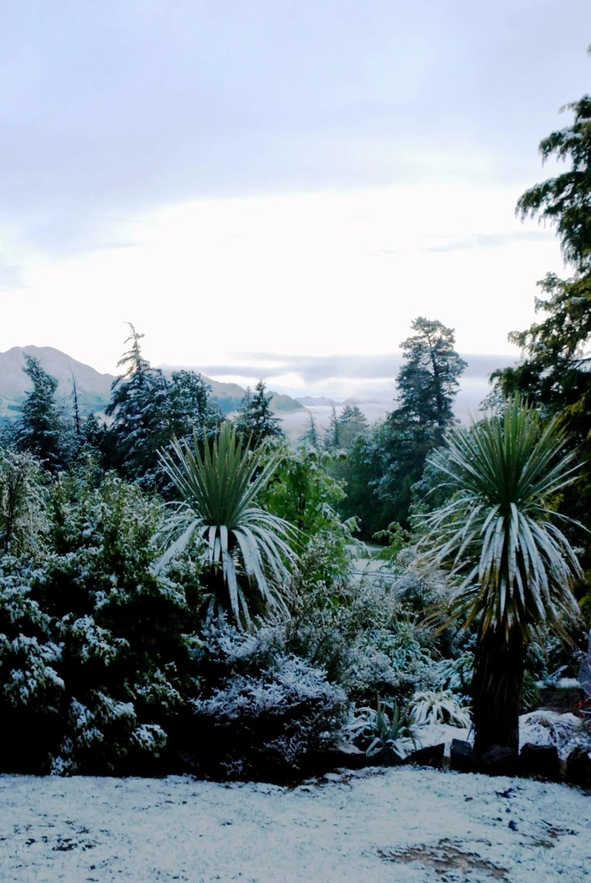 Winter in The Chalets Motel