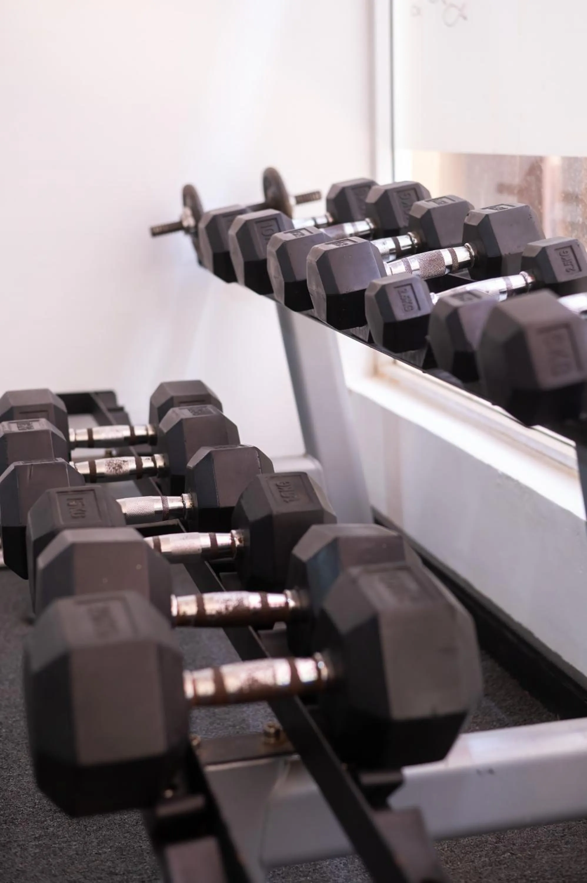 Fitness centre/facilities in The Palms