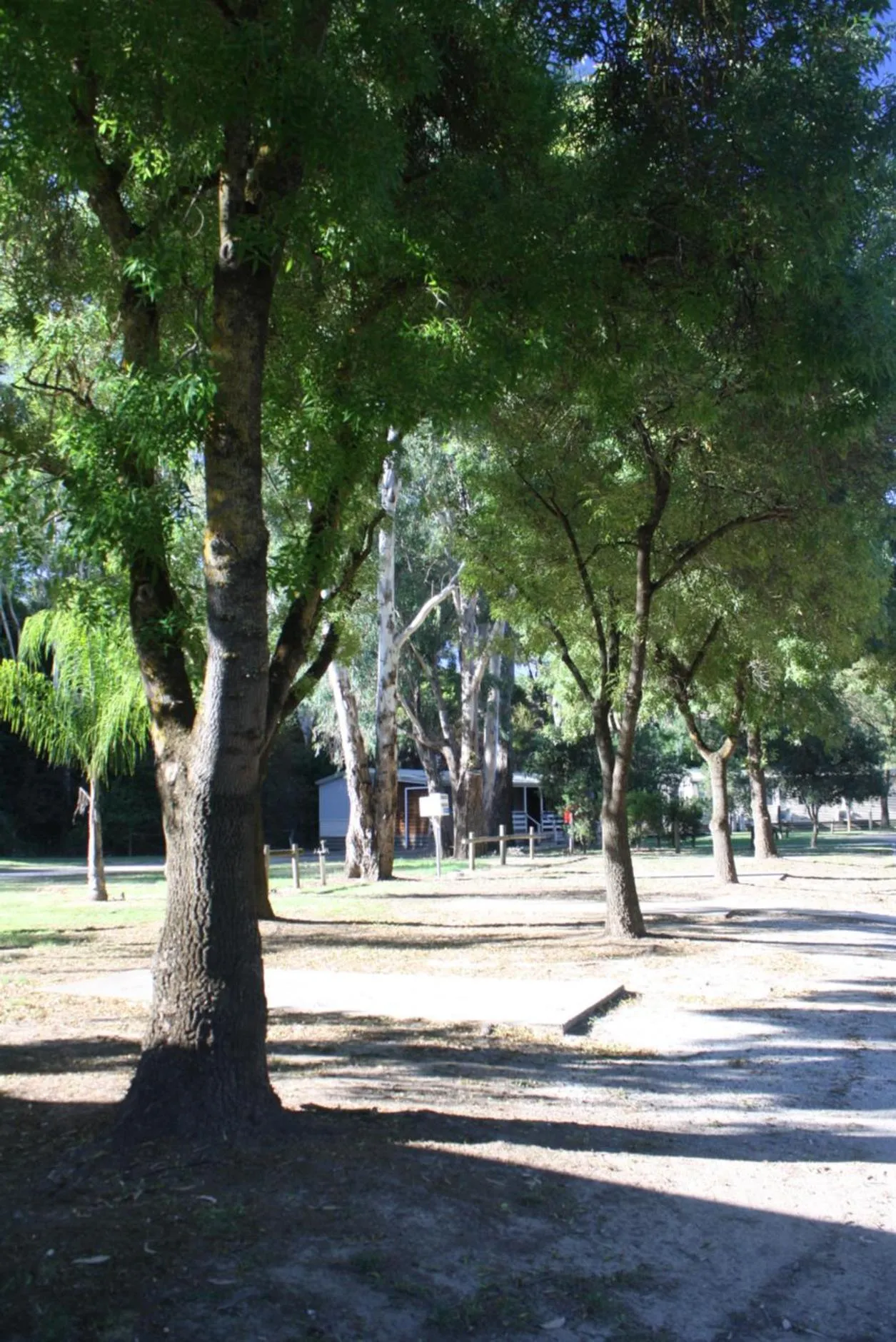 BIG4 Tiny Away Escape at Seymour Riverside