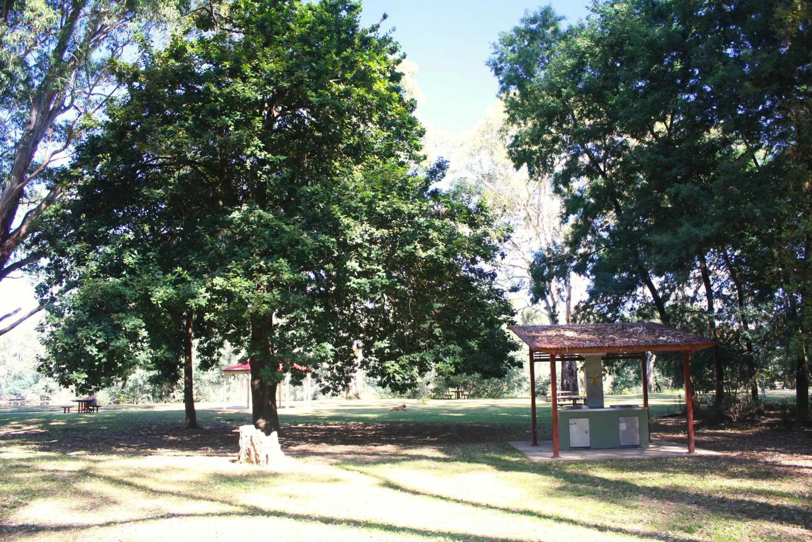 Nearby landmark in BIG4 Seymour Holiday Park