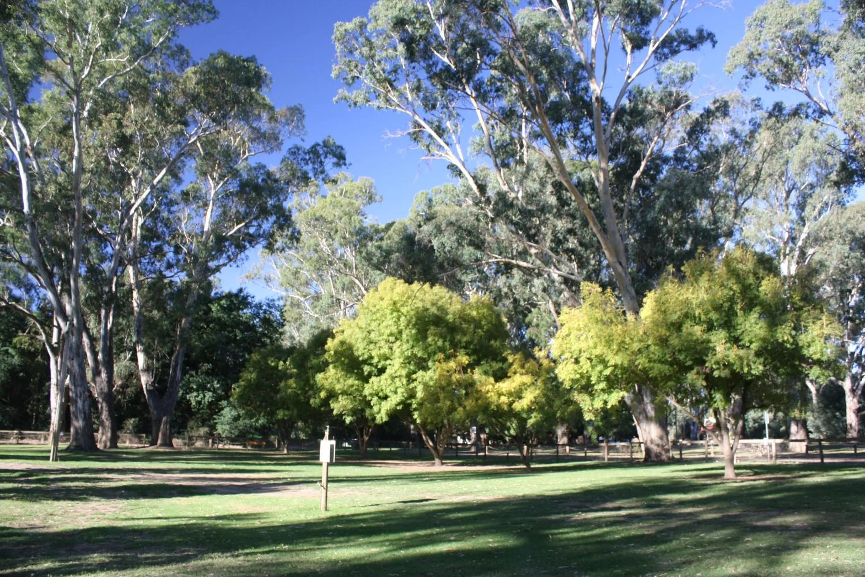 BIG4 Tiny Away Escape at Seymour Riverside